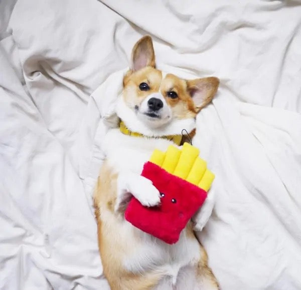 ZippyPaws NomNomz Squeaky Plush French Fries Dog Toy - Cute Interactive Puppy Chew Toy for Small & Medium Dogs - Perfect for Playtime, Training & Cuddling