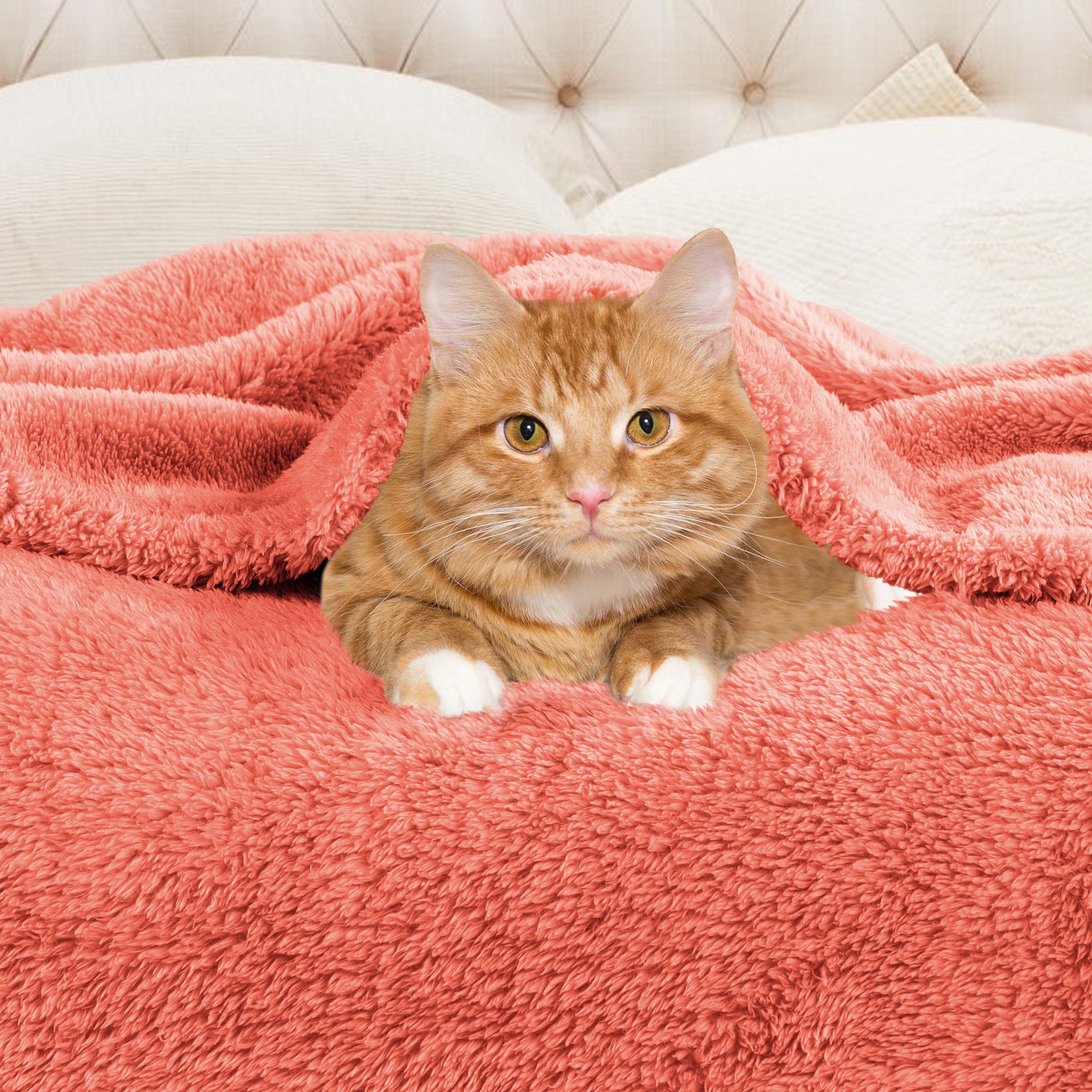 Classic Solid Fleece Plush Medium Weight Fluffy Soft Blanket - Cozy & Warm for Bed, Sofa, Travel & Gifts | Ultra-Soft Throw Blanket for All Seasons