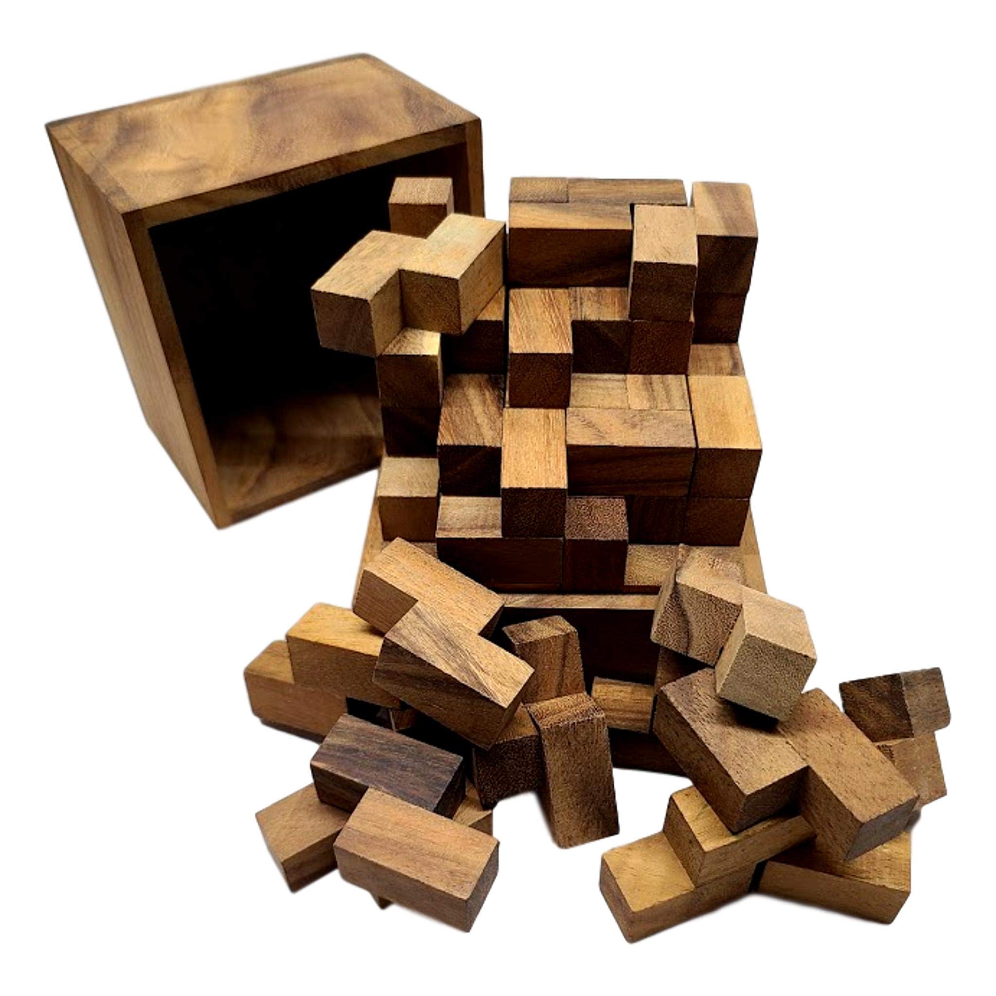 Challenging Monster Z Wooden Puzzle - Brain Teaser for Teens & Adults | Fun Family Game Night & Stress Relief Activity