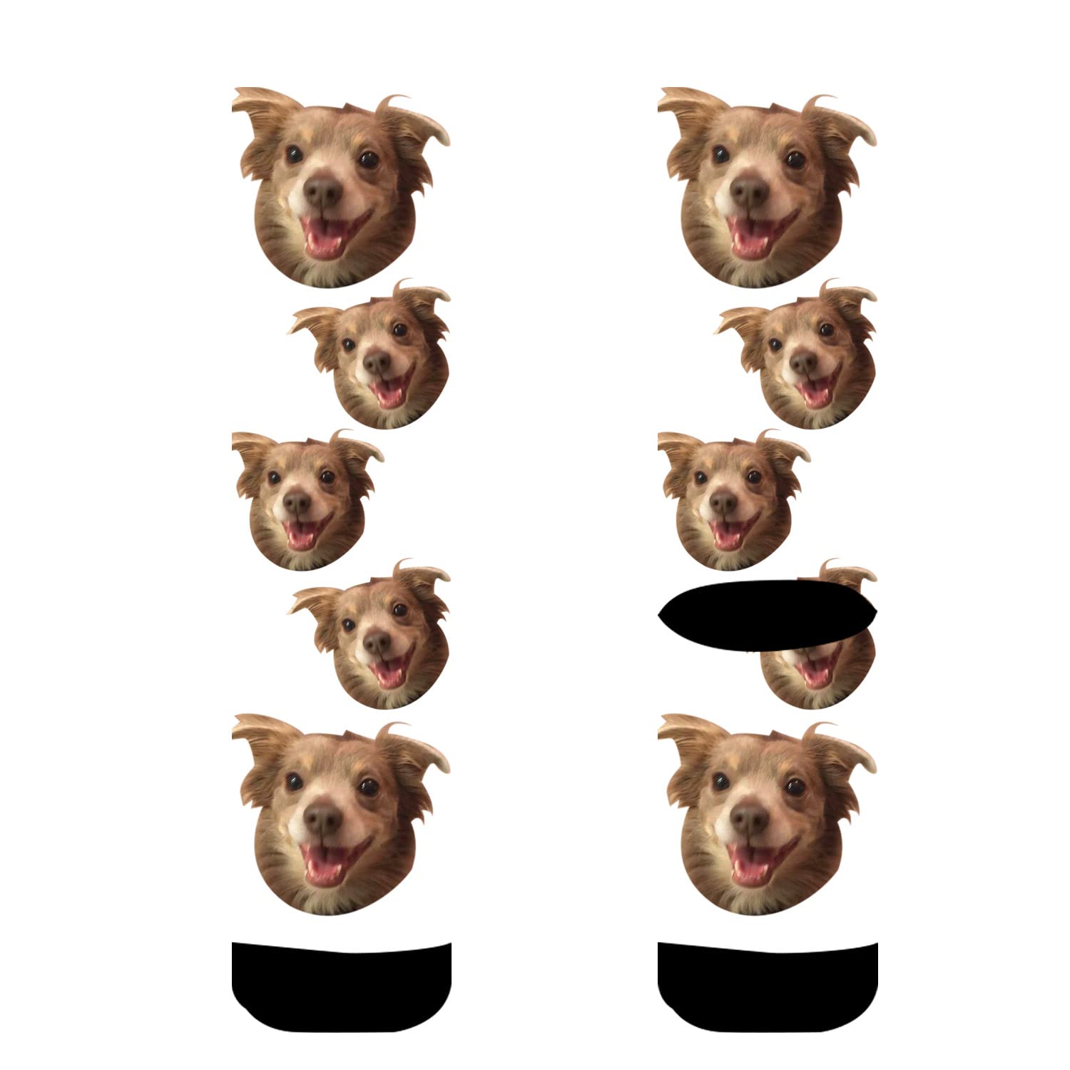 Custom Photo Socks with Your Face - Personalized Dog Socks for Men & Women | Unique Gift for Pet Lovers, Couples & Family - Wear Your Memories Daily