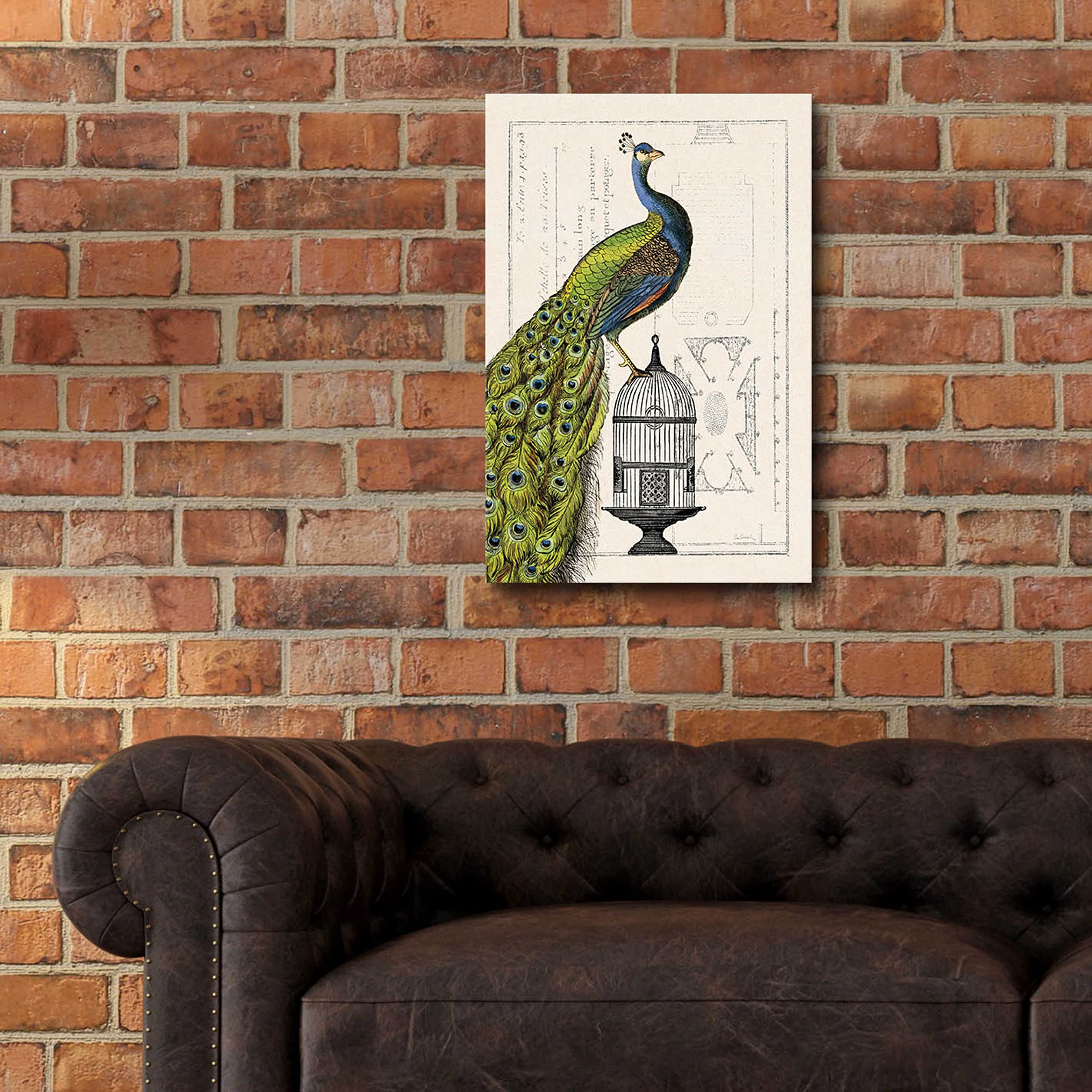 Epic Art 'Peacock Birdcage I' by Sue Schlabach - 16x24 Inch Acrylic Glass Wall Decor, Modern Home & Office Artwork - Perfect for Living Room, Bedroom or Gallery Wall Display
