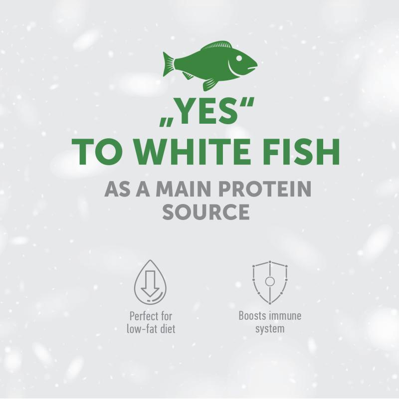 Premium Digestive Support Dog Treats with White Fish & Rice - Healthy Snacks for Adult Dogs - Ideal for Training, Rewards & Digestive Health