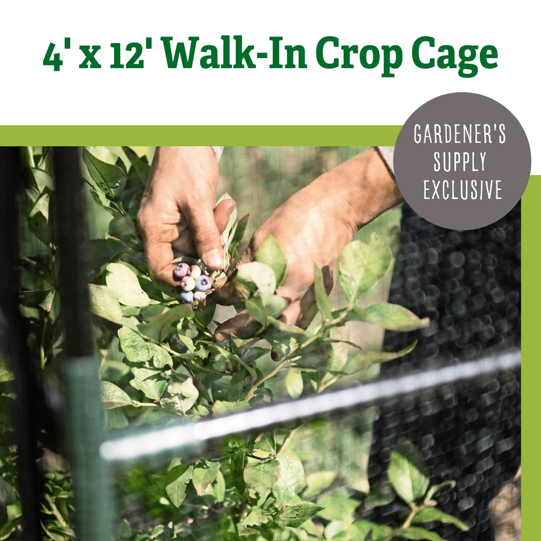 Tall Crop Cage Plant Protection Tent - 6ft H Garden Greenhouse with Zippered Door | Durable Outdoor Plant Covers for Vegetables, Flowers & Lawn Crops | Perfect for Backyard Gardening, Raised Beds & Organic Farming