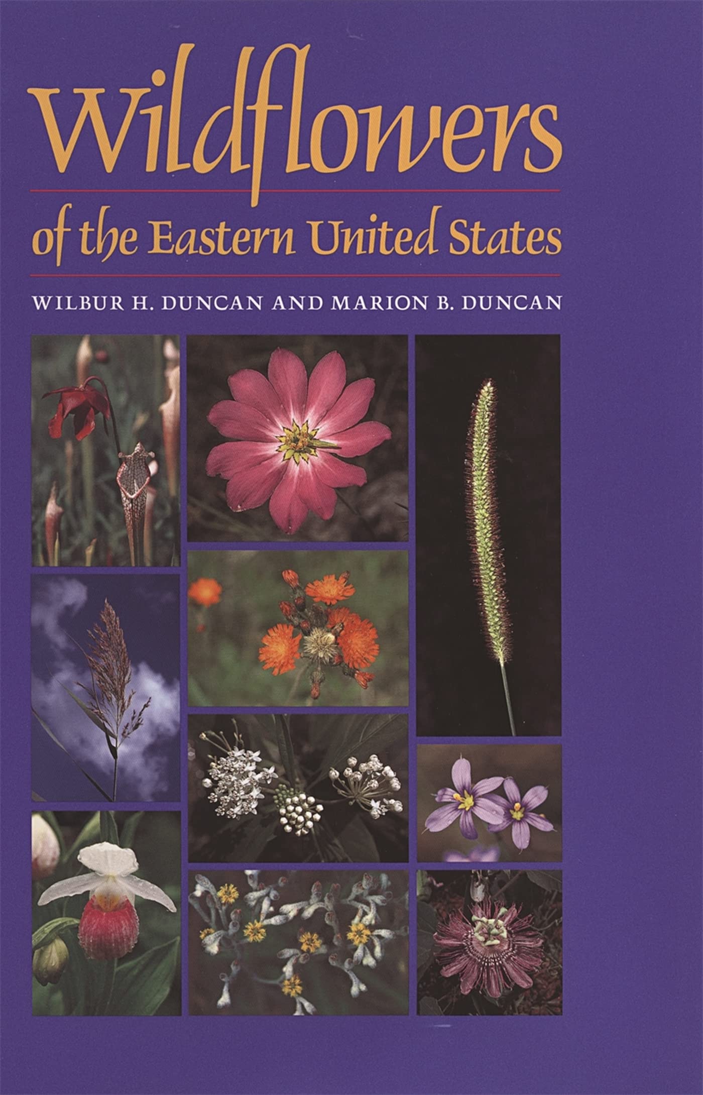 Wildflowers of the Eastern United States - Illustrated Field Guide Book for Nature Lovers | Wormsloe Foundation Nature Books | Perfect for Hiking, Gardening, and Nature Study