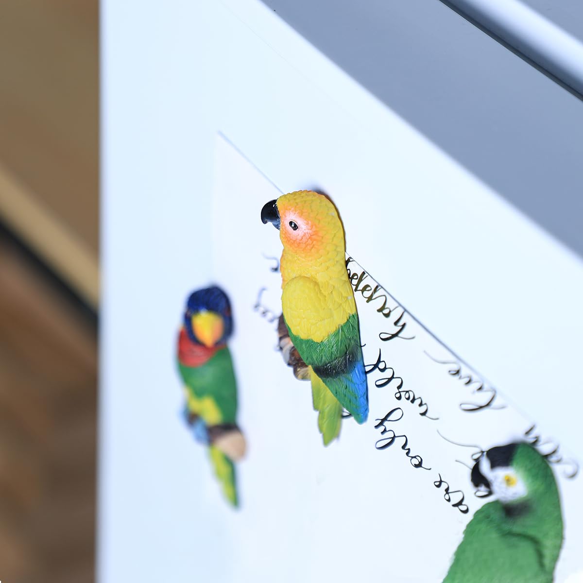 5 PCS Parrot Fridge Magnets - Strong Refrigerator Magnets for Kitchen, Office Lockers, Whiteboards & Classroom Decor - Fun Animal Magnets for Kids & Adults