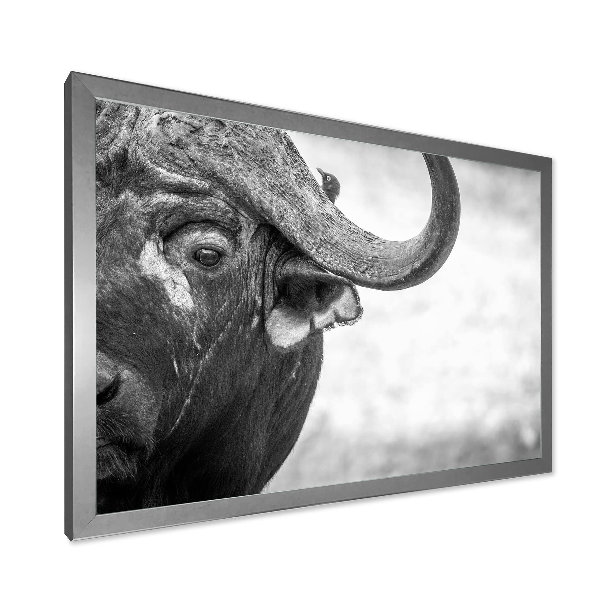 DesignQ Monochrome Buffalo Portrait III - Farmhouse Framed Wall Art Decor for Living Room, Bedroom & Office