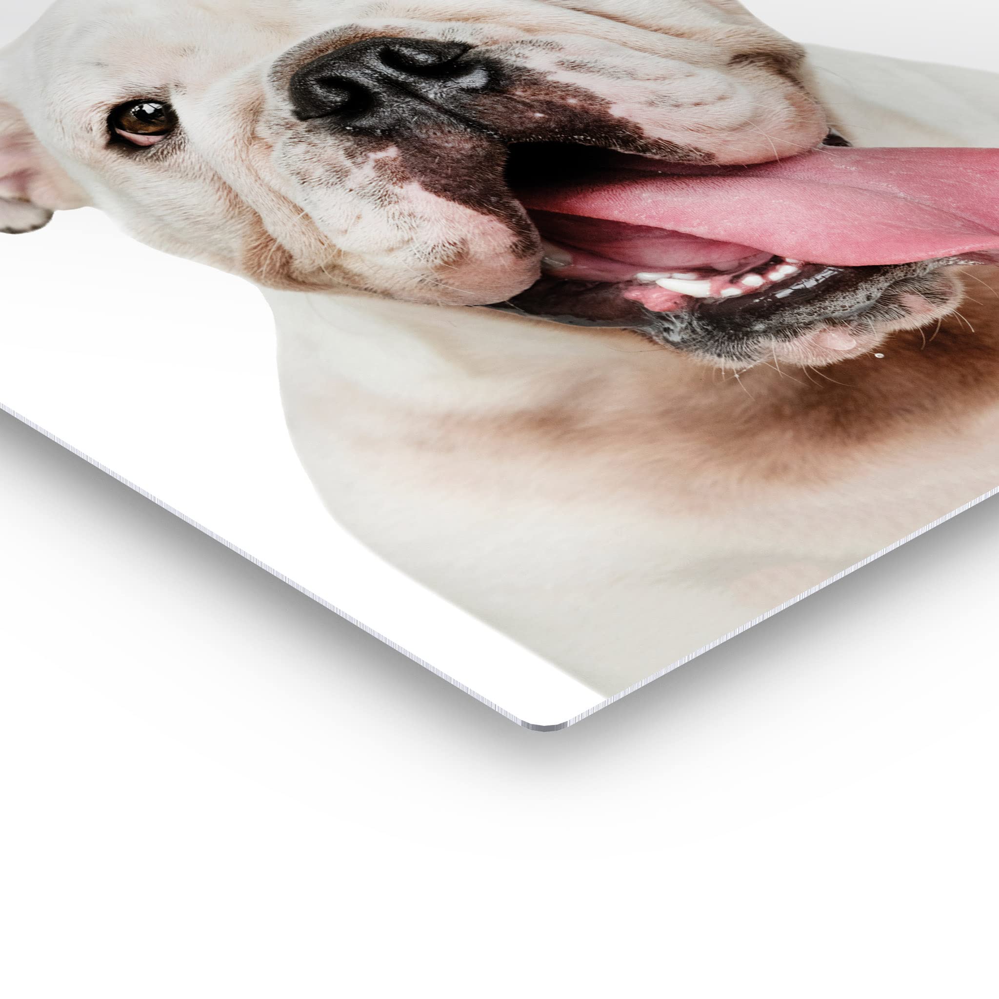White English Bulldog Portrait Metal Wall Art - Pet Lover Gift for Dog Owners, Mom & Dad - 40x30 Inch Animal Print for Living Room, Bedroom, Nursery Decor - Made in USA | Perfect for Home, Office & Dog-Themed Spaces