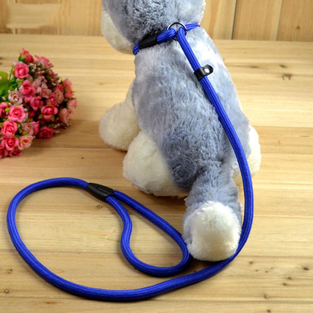 Durable Nylon Adjustable Dog Leash - Blue Pet Training Lead with Comfortable Handle for Small Medium Large Dogs | Perfect for Walking, Running, Hiking & Outdoor Adventures