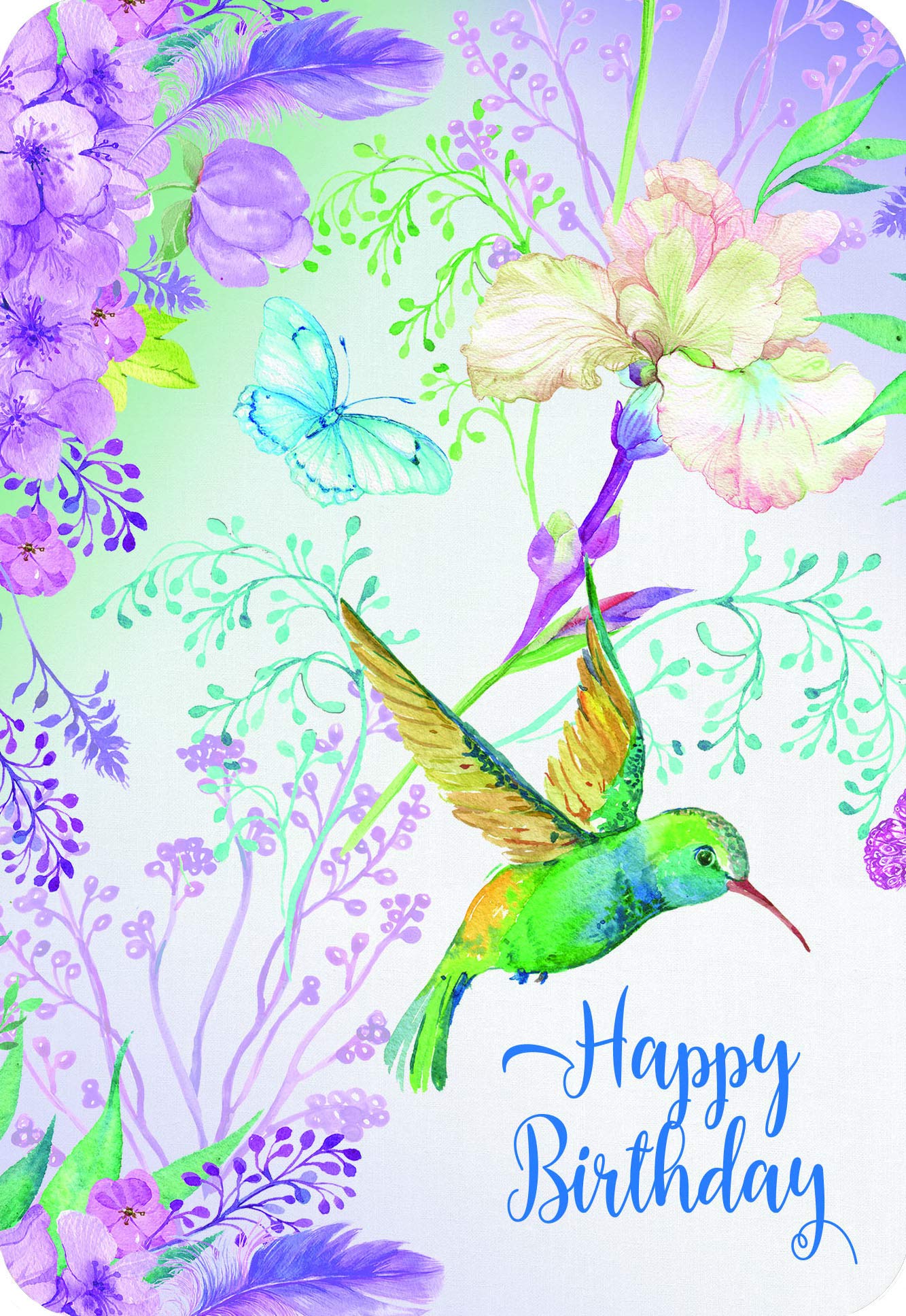 12-Pack DGR Birthday Song Birds Greeting Cards - Perfect for Birthdays, Anniversaries & Special Occasions