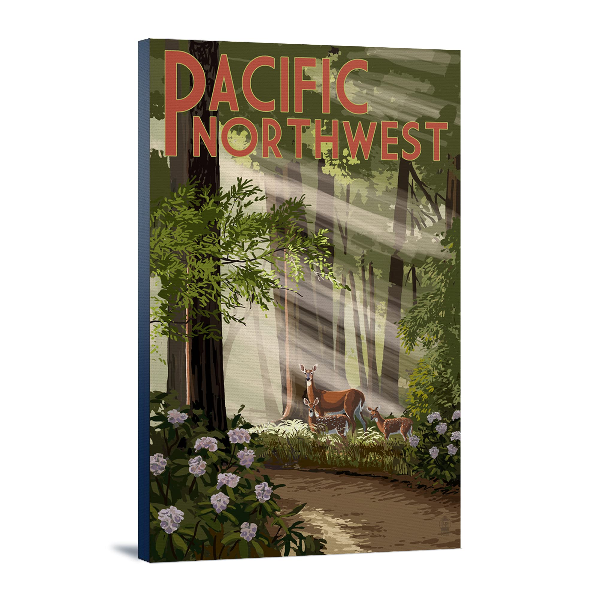 Lantern Press Pacific Northwest Deer in Forest Wall Art - 16x24 Wrapped Canvas Print for Home & Office Decor - Perfect for Living Room, Bedroom or Cabin