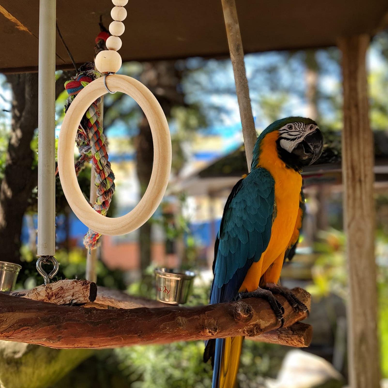 Balacoo 2 Pack Wooden Parrot Swing Toy Set - Natural Wood Perch, Bird Hammock & Ladder for Parakeets, Cockatiels, Lovebirds - Fun Climbing & Play Cage Accessories for Small Birds (Ideal for Playtime & Exercise)