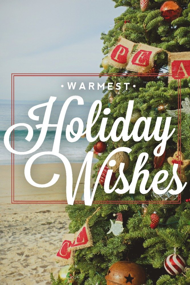 Signed Christmas Tree on Beach 77667 Art Print - 24x36 Wall Decor Poster for Holiday Home Decor | Perfect for Living Room, Bedroom & Office