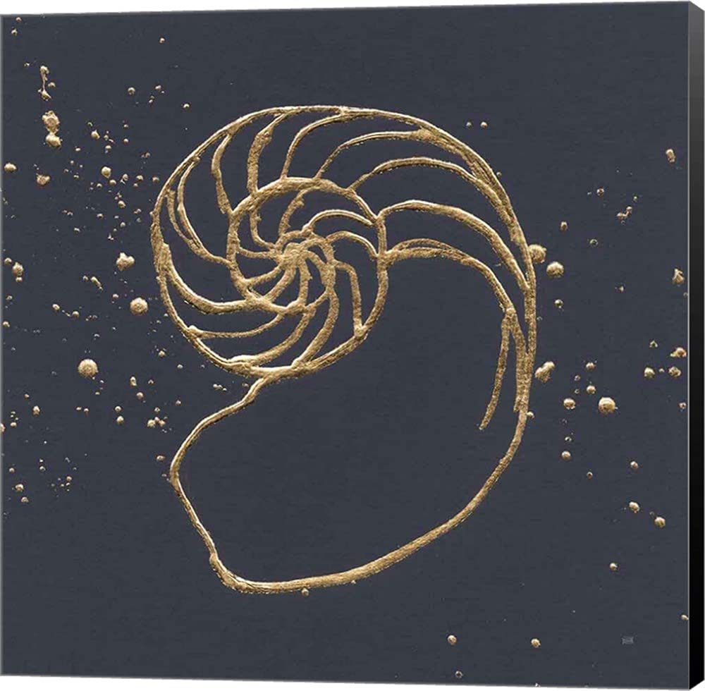 Chris Paschke Gold Nautilus II Canvas Art - 24x24 Inch Museum Wrapped Wall Painting with Black Sides | Perfect for Living Room, Bedroom & Office Decor