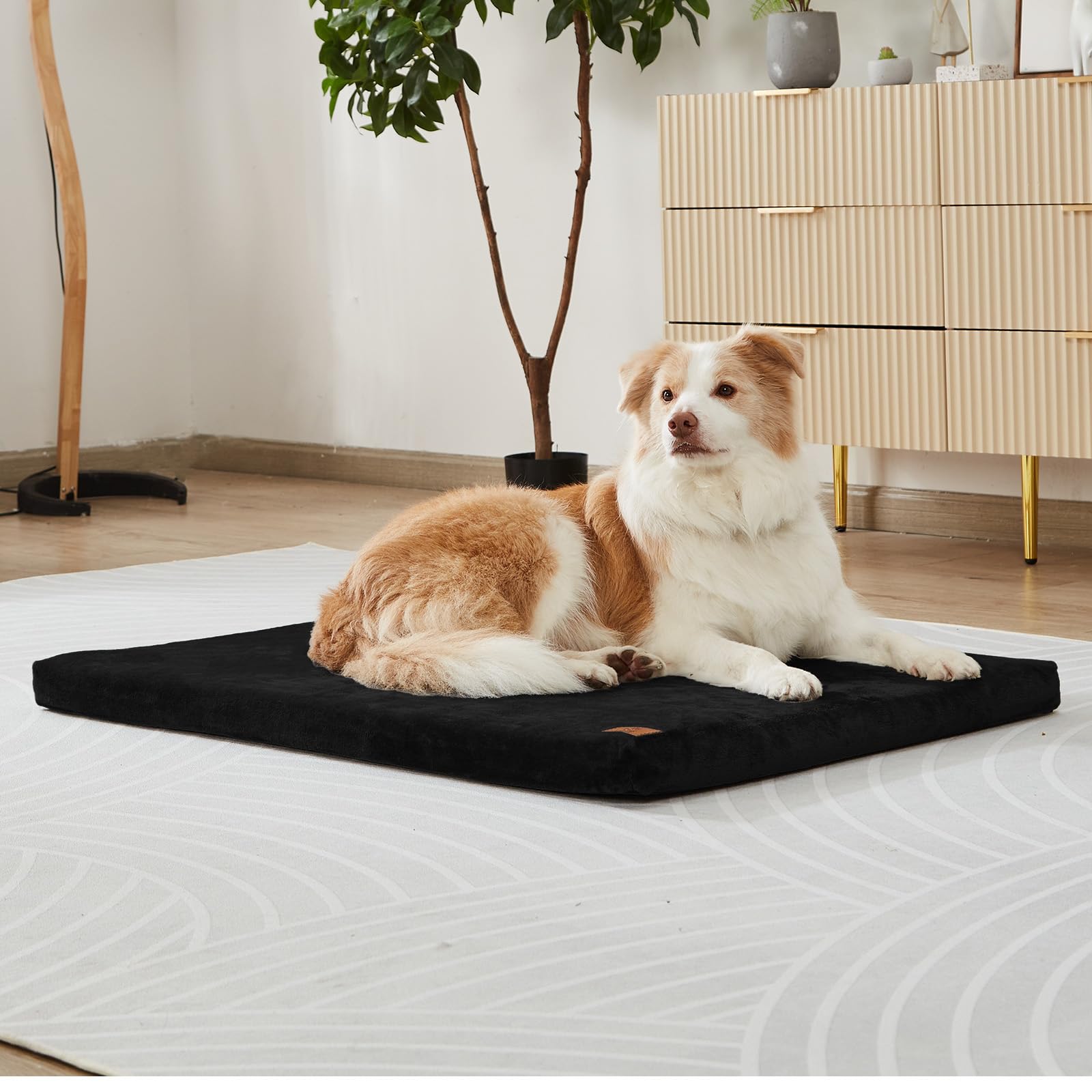 Premium Memory Foam Dog Crate Pad - XL Washable Pet Bed Mat with Waterproof Lining for Extra Large Dogs (Fits 42-inch Crates) - Perfect for Kennels, Travel & Home Comfort - Black