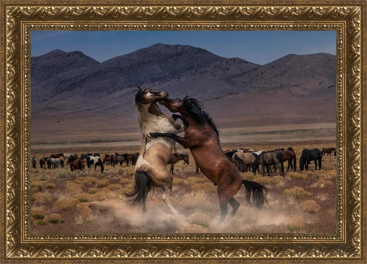 Desert Duel by Greg Sargent - Western Novel, Adventure & Action Book - Perfect for Fans of Cowboy Stories and Wild West Tales | Great for Reading on Road Trips, Camping & Relaxation