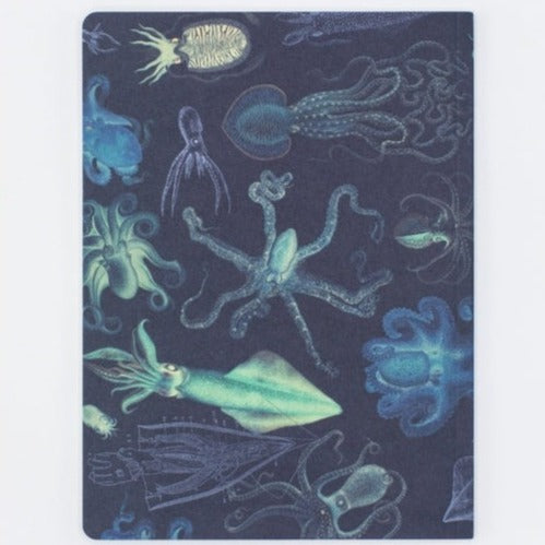 Premium Cephalopods Octopus & Squid Softcover Notebook - Lined Journal for Marine Biology Notes, Sketching & Creative Writing | Perfect Gift for Ocean Lovers & Students
