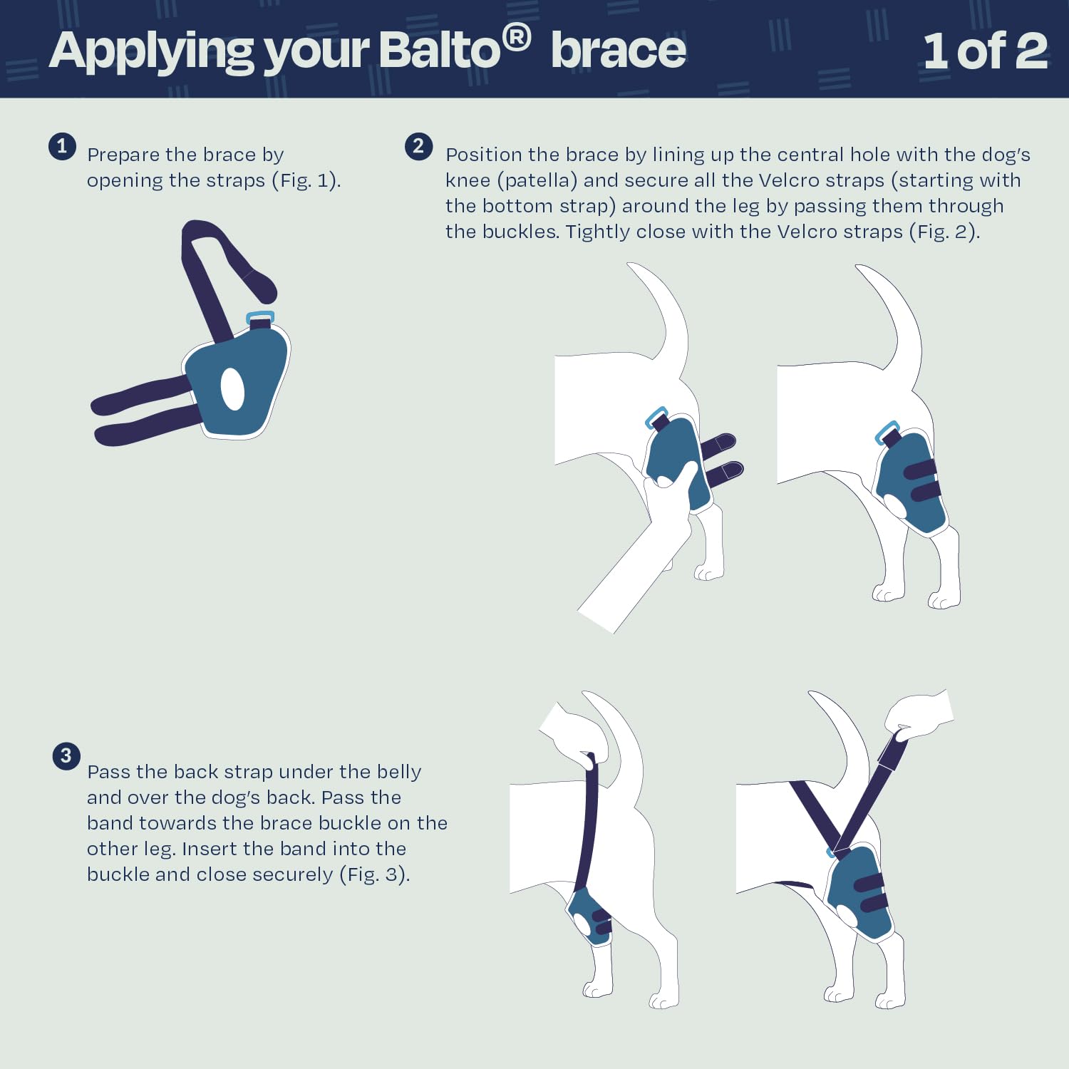 Balto Jump CCL Brace for Dogs – Adjustable Knee Support with Aluminum Splints – Pre & Post-Surgery Recovery Aid – Prevents Reinjury – Left Leg, XXS – Ideal for Active Dogs & Post-Op Care