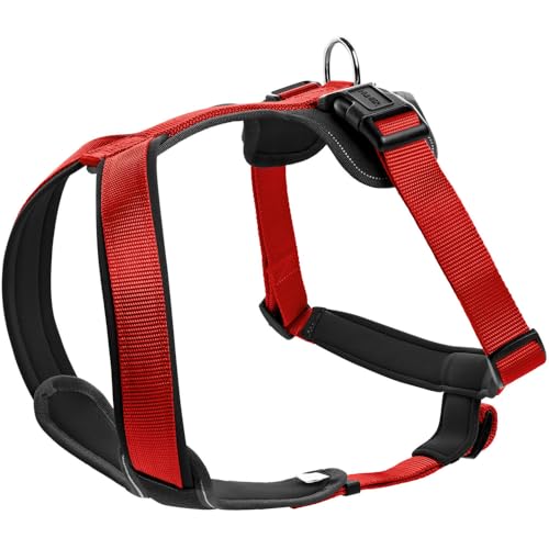 Red/Black