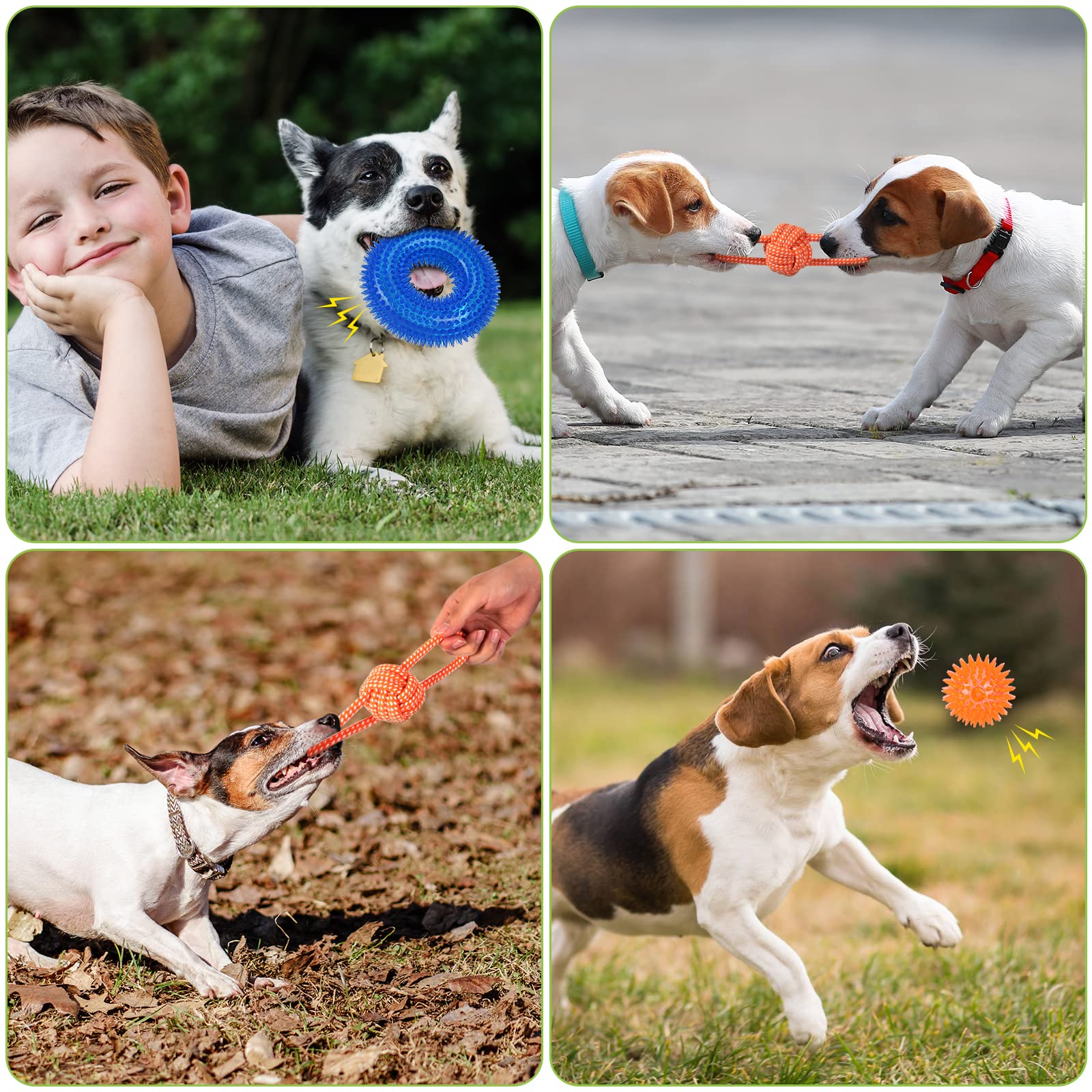6 Pack Squeaky Dog Chew Toys for Puppies 2-8 Months - Soft & Durable Teething Toys for Small & Medium Dogs - Promotes Dental Health & Oral Hygiene - Perfect for Playtime, Training & Anxiety Relief