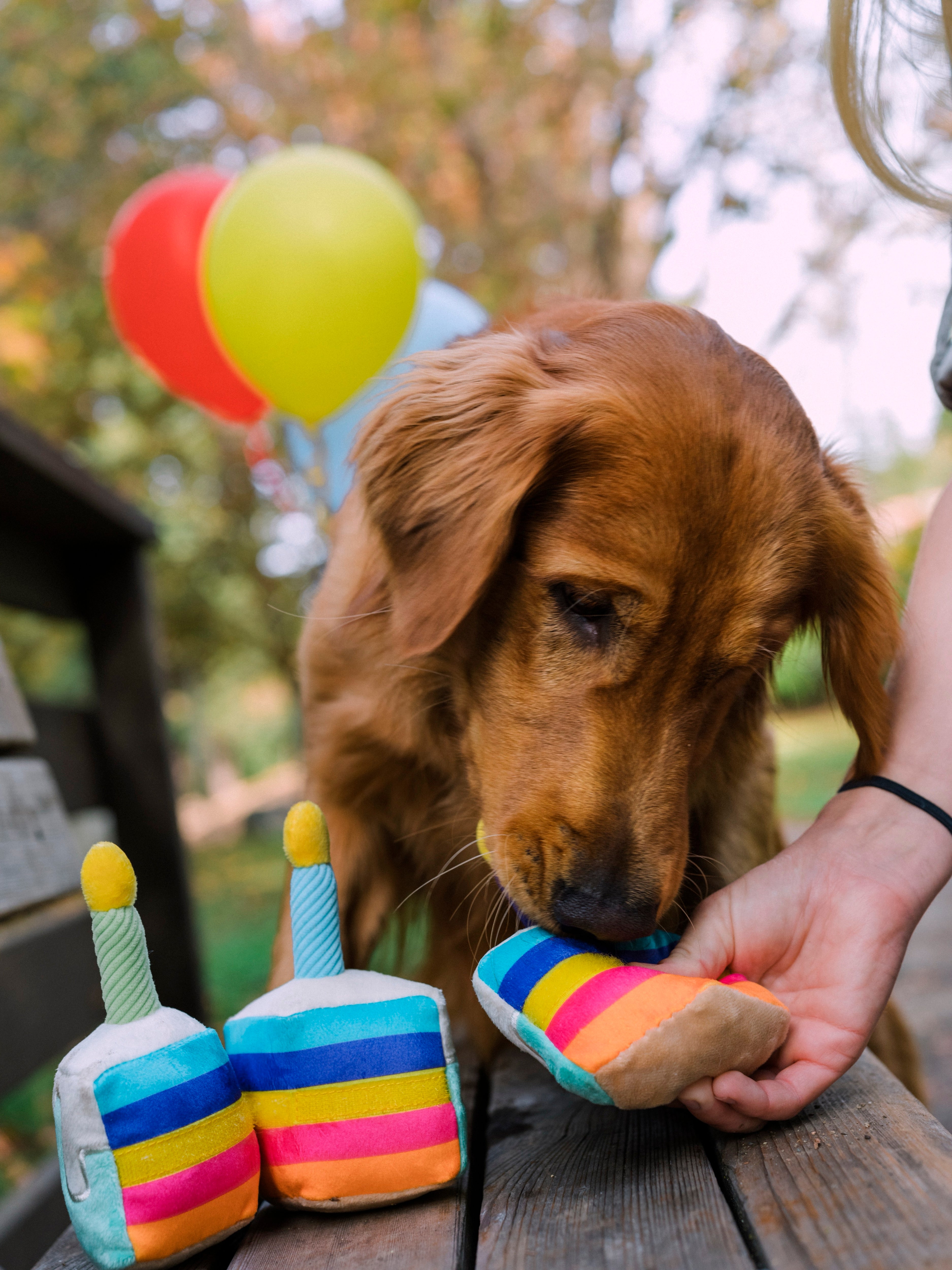 El Pastel Bone Appetit Dog Toy Plush Chew Toy for Small & Large Dogs | Pet P.L.A.Y. Party Time™ - Perfect for Birthday Celebrations, Playtime & Training Rewards