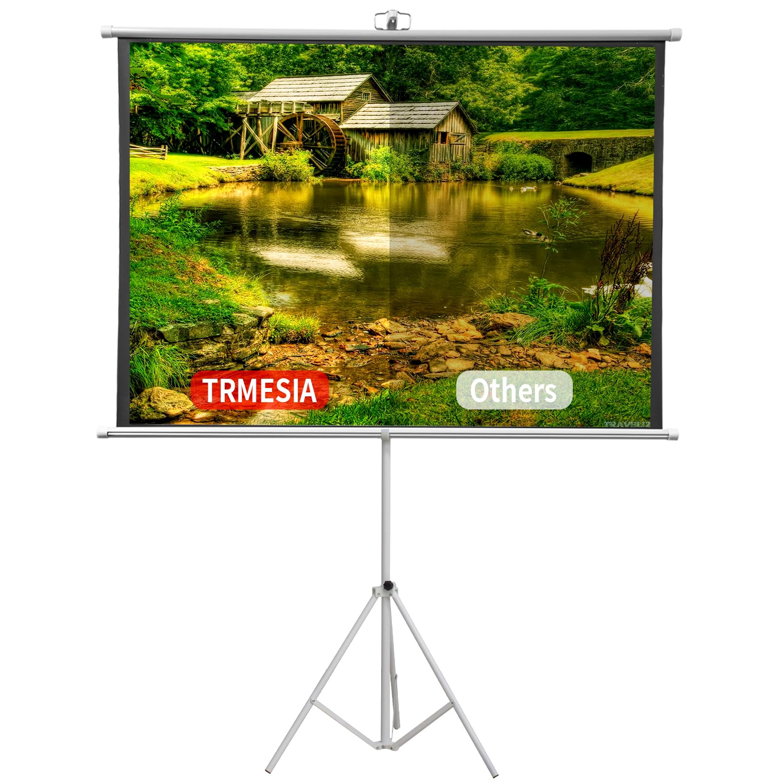 60 Inch Portable Projector Screen with Stand & Carry Bag - 4:3 Aspect Ratio, Lightweight Foldable Design for Home Theater & Outdoor Movies - Easy Setup Indoor/Outdoor Projection Screen (60
