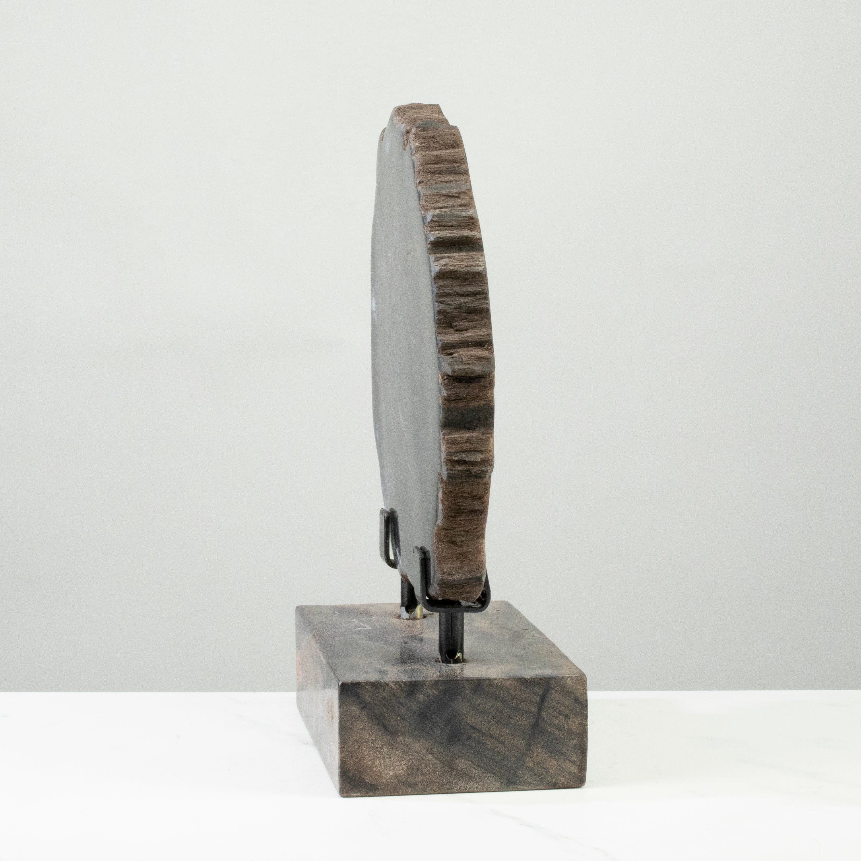 12 Natural Black Petrified Wood Slices on Display Stand - Perfect for Home Decor, Office Desk, Meditation & Spiritual Gifts