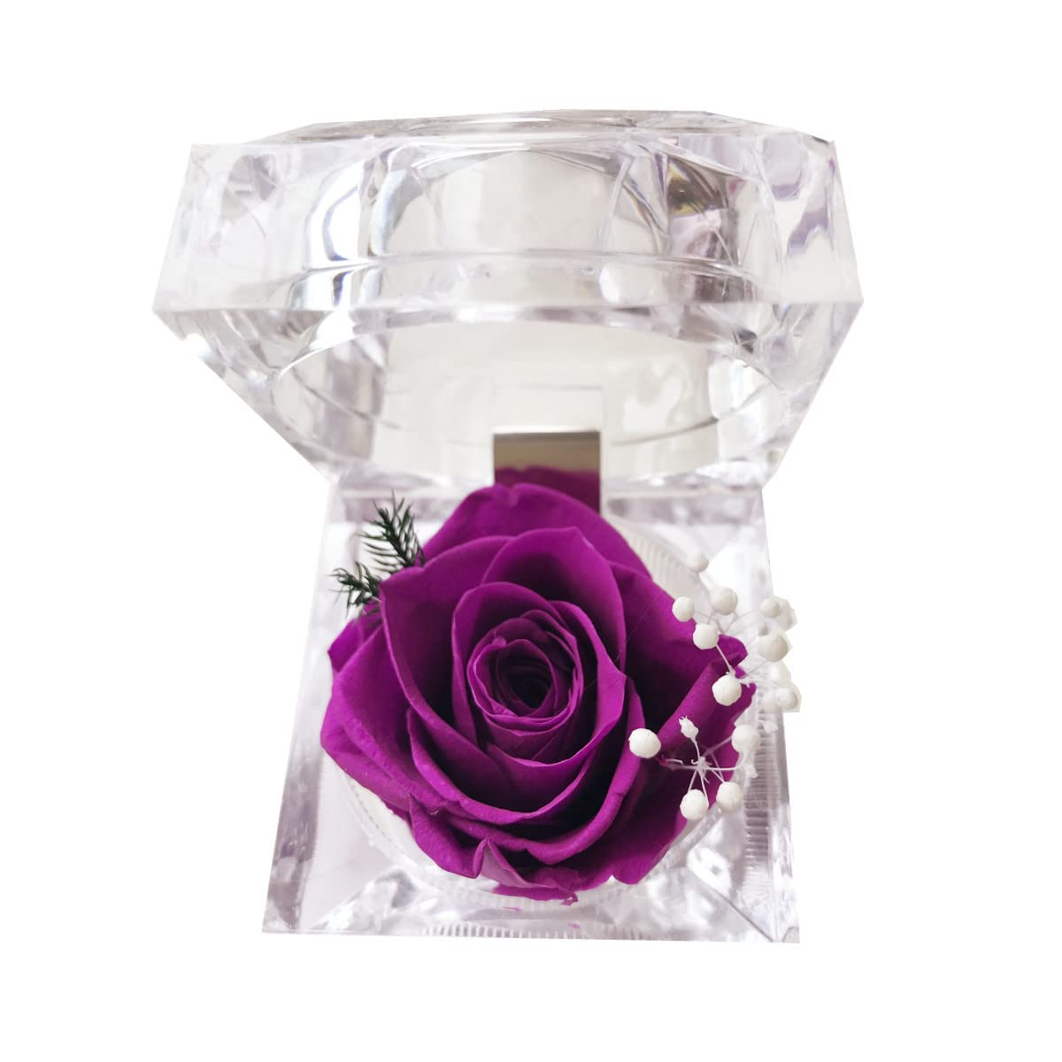 Real Preserved Rose in Mini Clear Ring Box - Eternal Flower Gift for Women, Mom, Girlfriend, Grandma | Perfect for Mother's Day, Anniversary, Valentine's, Christmas & Birthday (Purple) - Romantic Home Decor & Special Occasion Present