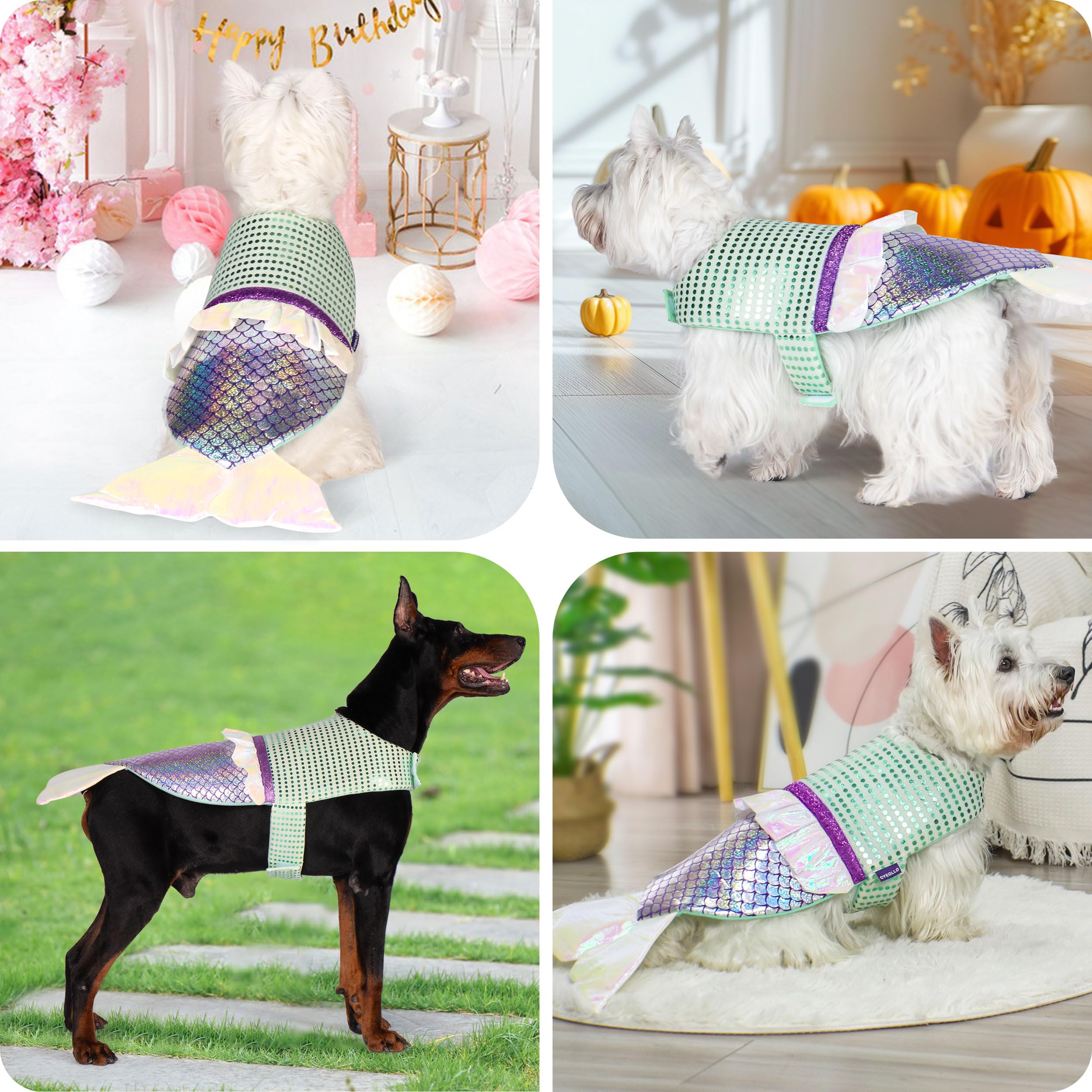 Cute Mermaid Costume for Small Dogs - Halloween, Birthday & Holiday Party Outfit | Funny Pet Costume for Puppies (Size XS) | Perfect for Dress-Up, Photo Shoots & Special Occasions