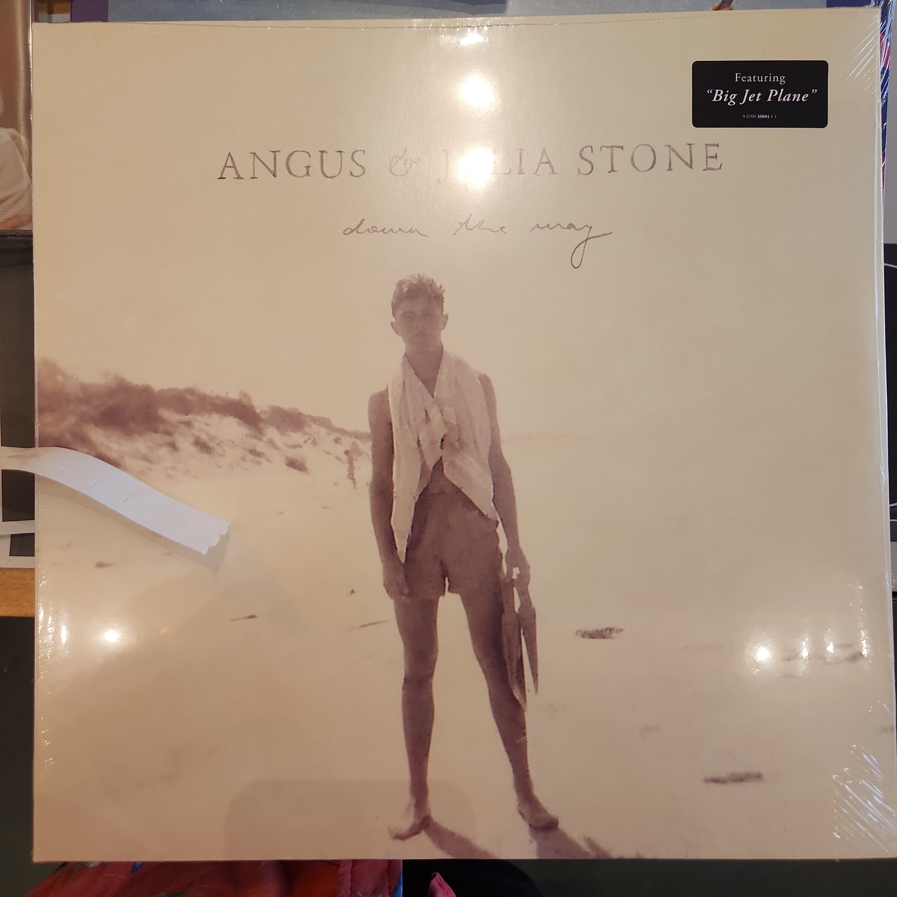 Angus and Julia Stone - Down the Way Vinyl LP Record | Indie Folk Music Album for Home Listening & Gift Giving | Perfect for Vinyl Collectors and Music Lovers