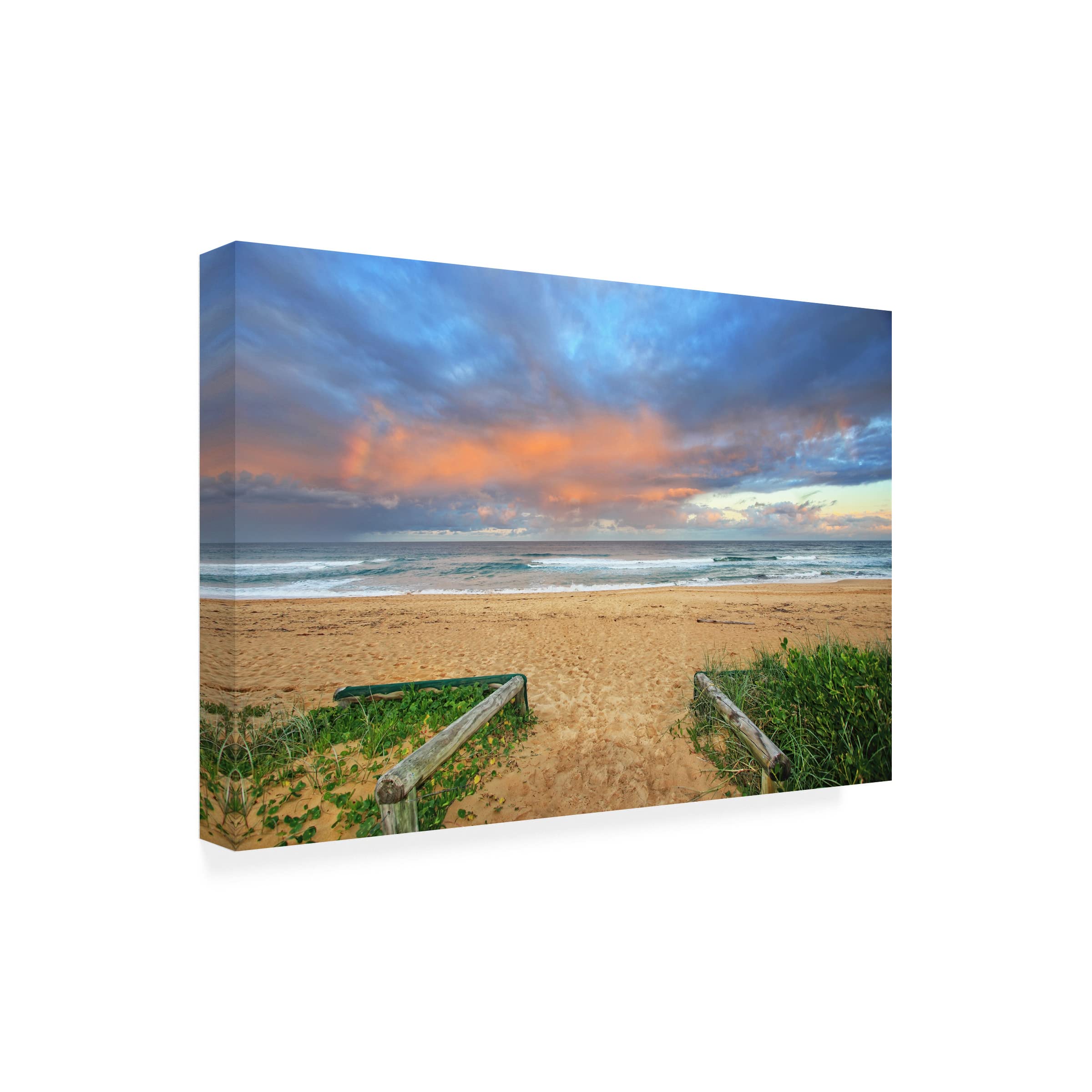 Trademark Fine Art 'Beach Walk' Canvas Print by Beata Czyżowska - Coastal Wall Decor for Living Room, Bedroom & Office
