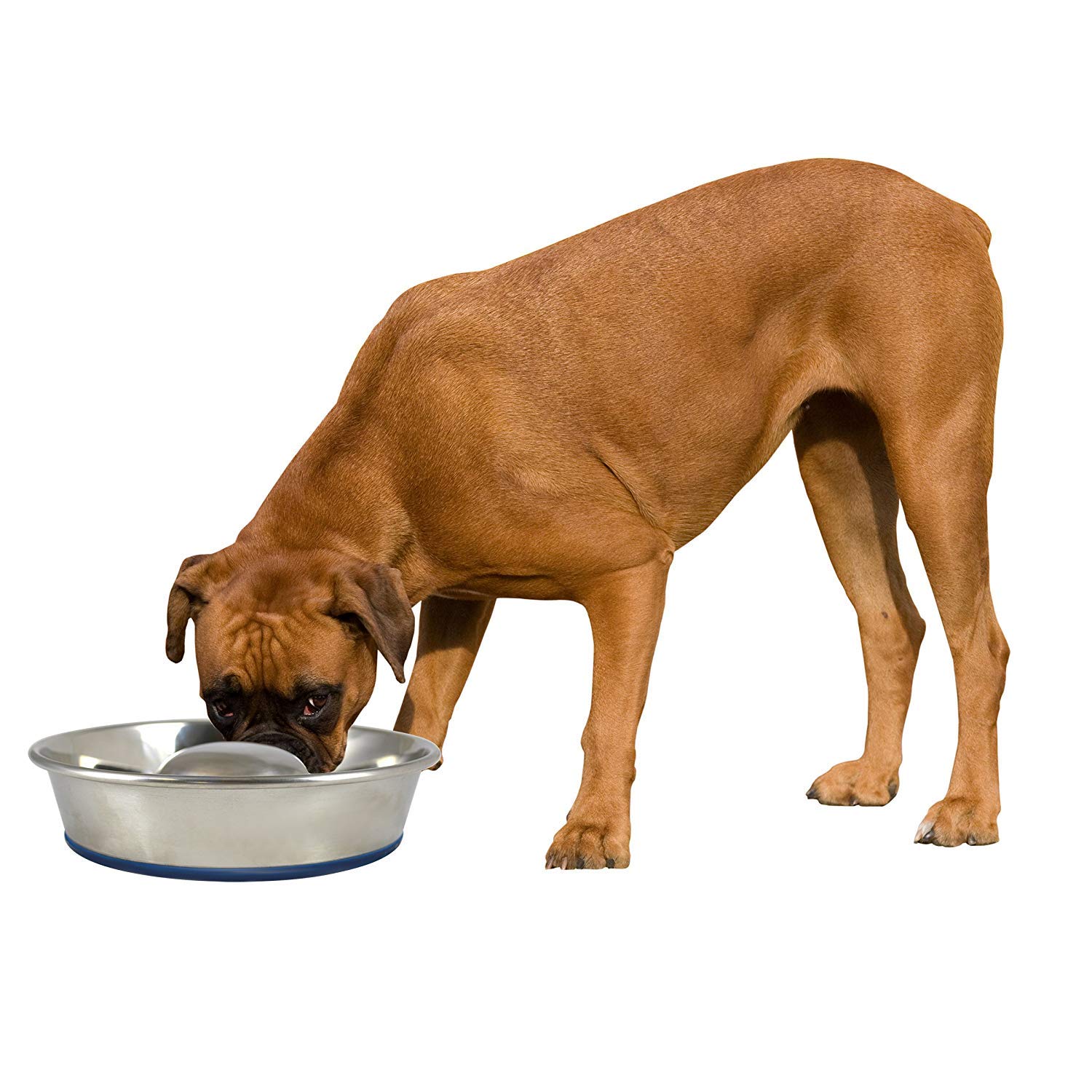 Premium Stainless Steel Slow Feed Dog Bowl for Large Dogs - Durable & Non-Slip Pet Food Bowl - Perfect for Fast Eaters, Mealtime Enrichment, and Portion Control - Silver (2040010302)
