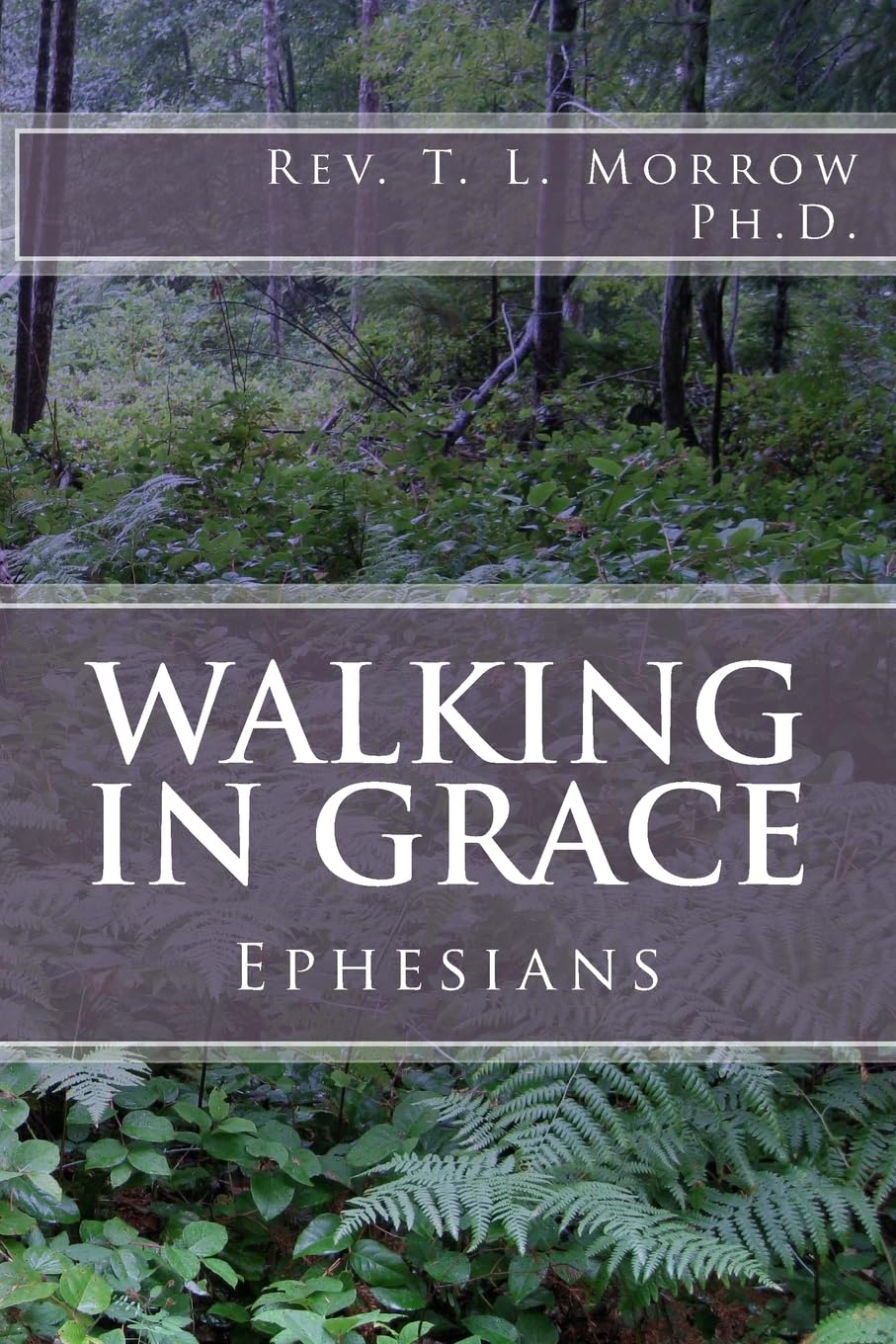 Walking in Grace: A Study of the Book of Ephesians - Christian Bible Study Guide for Small Groups & Personal Devotion