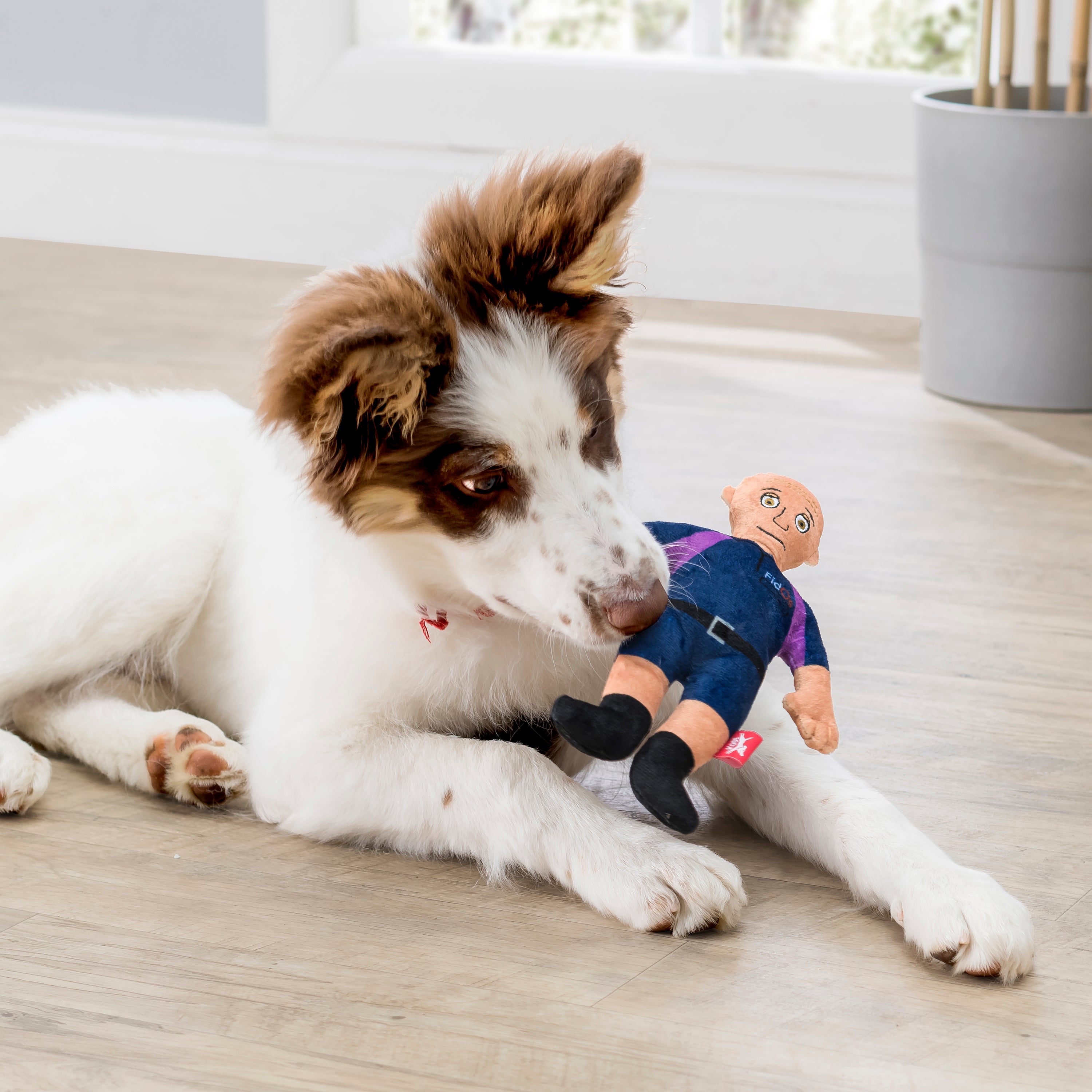 Kobe FidOs Squeaky Plush Dog Toy for Small & Medium Dogs - Soft & Durable Chew Toy for Puppies, Teething, and Playtime - Perfect for Indoor & Outdoor Fun