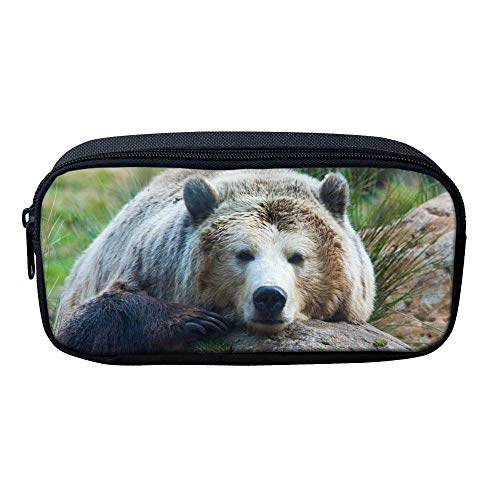bear