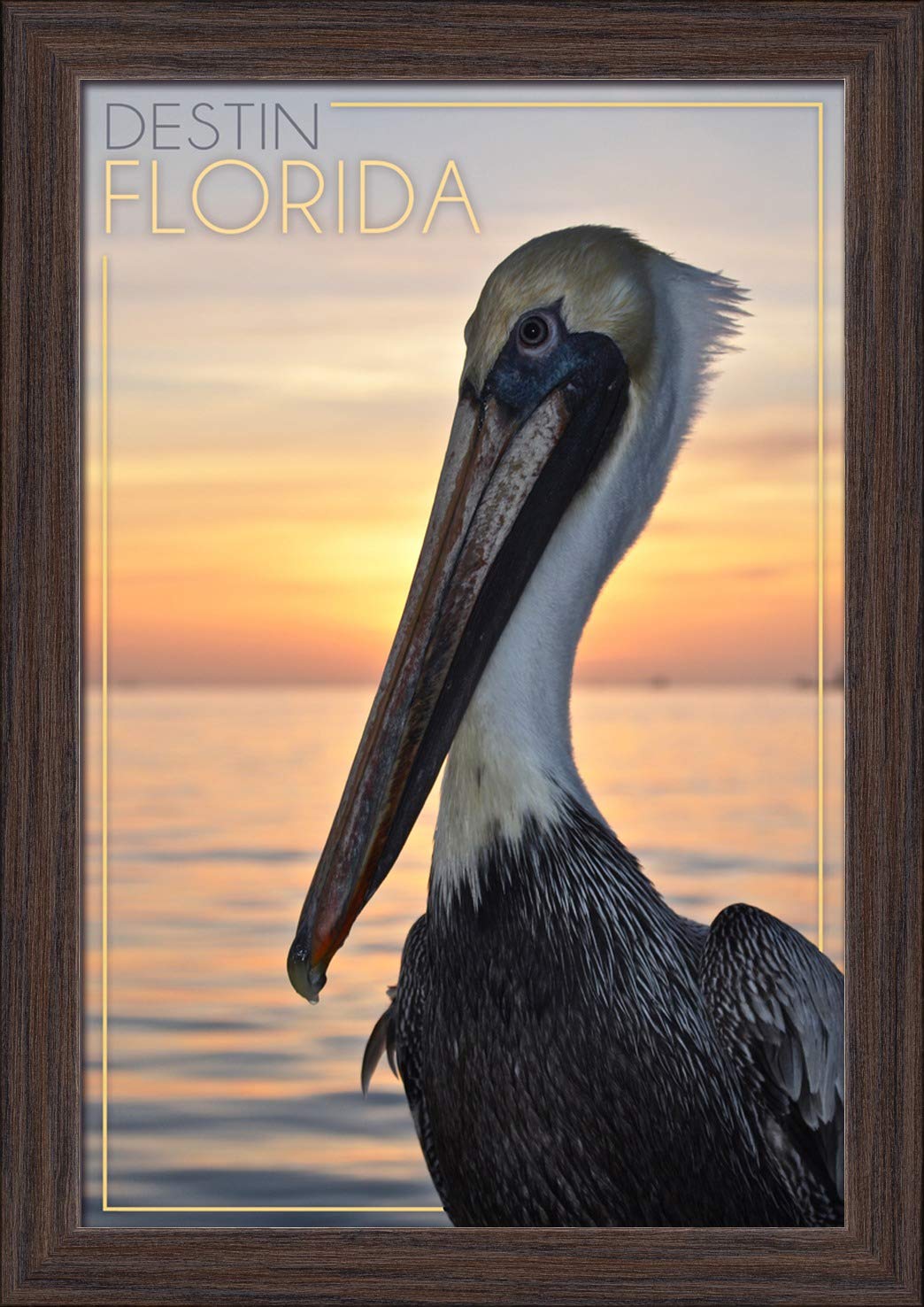 12x18 Destin Florida Pelican Giclee Fine Art Print - Recycled Wood Frame in Espresso Brown - Perfect for Coastal Home Decor & Beach House Wall Art