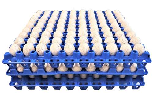 12 Pack of 90 Small Egg Trays for Quail, Pigeon & Dove Eggs - Perfect for Bird Breeders, Farmers & Egg Storage