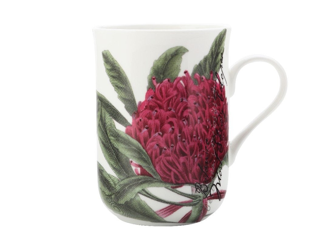 Maxwell & Williams Royal Botanic Garden Telopea 300ml Ceramic Tea Coffee Mug - Perfect for Home, Office & Gift Giving