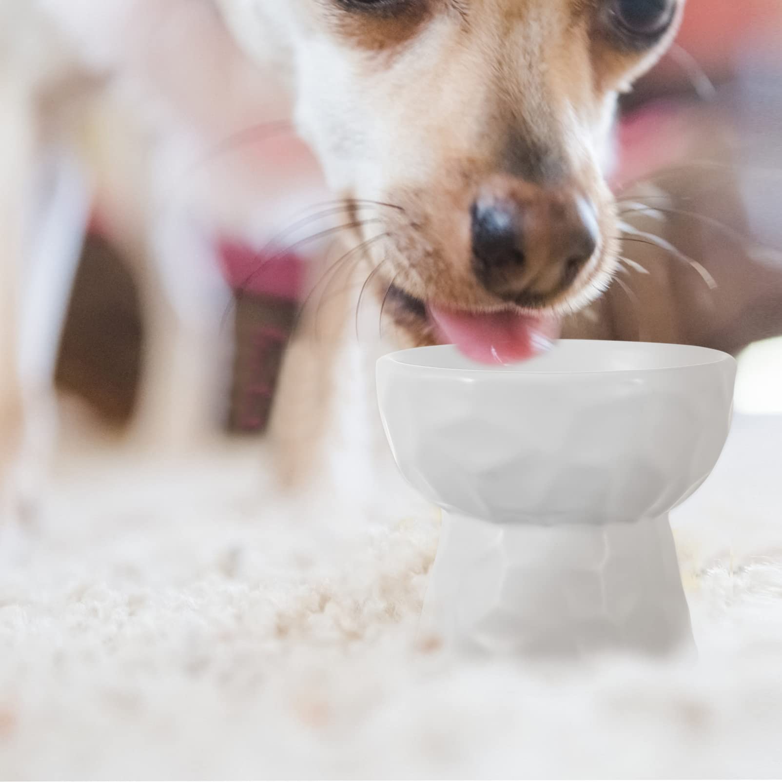 Ceramic Raised Cat and Dog Food Bowls - 250ml White Pet Feeder Bowl for Small Dogs & Cats - Durable Ceramic Pet Food & Water Container - Perfect for Elevated Feeding, Auto Feeder Use, and Home Dining Stations