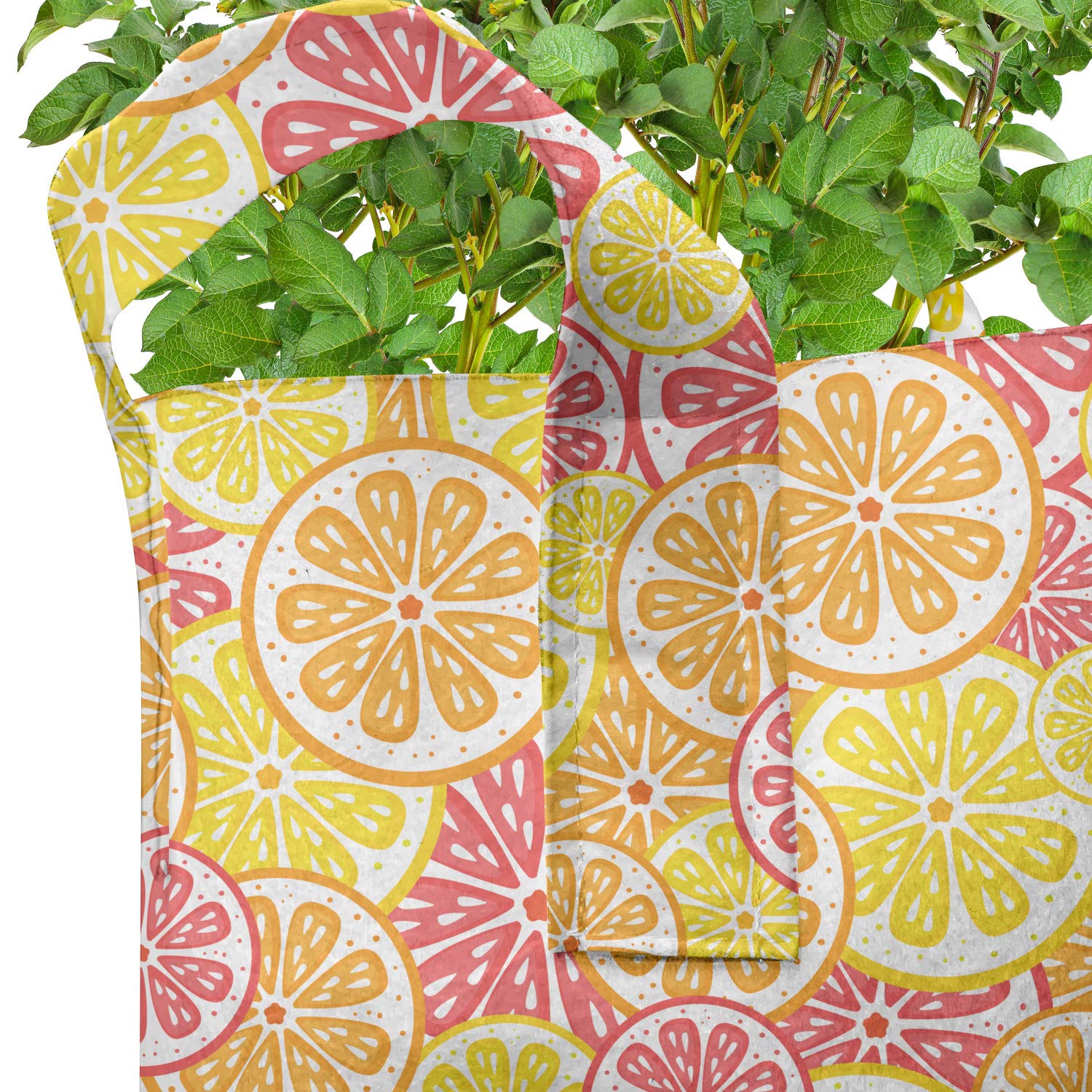 Ambesonne 5-Pack Heavy Duty Fabric Grow Bags with Handles - Citrus Fruit Pattern in Orange & Yellow - Durable Plant Pots for Indoor/Outdoor Gardening, Balcony & Patio Decor