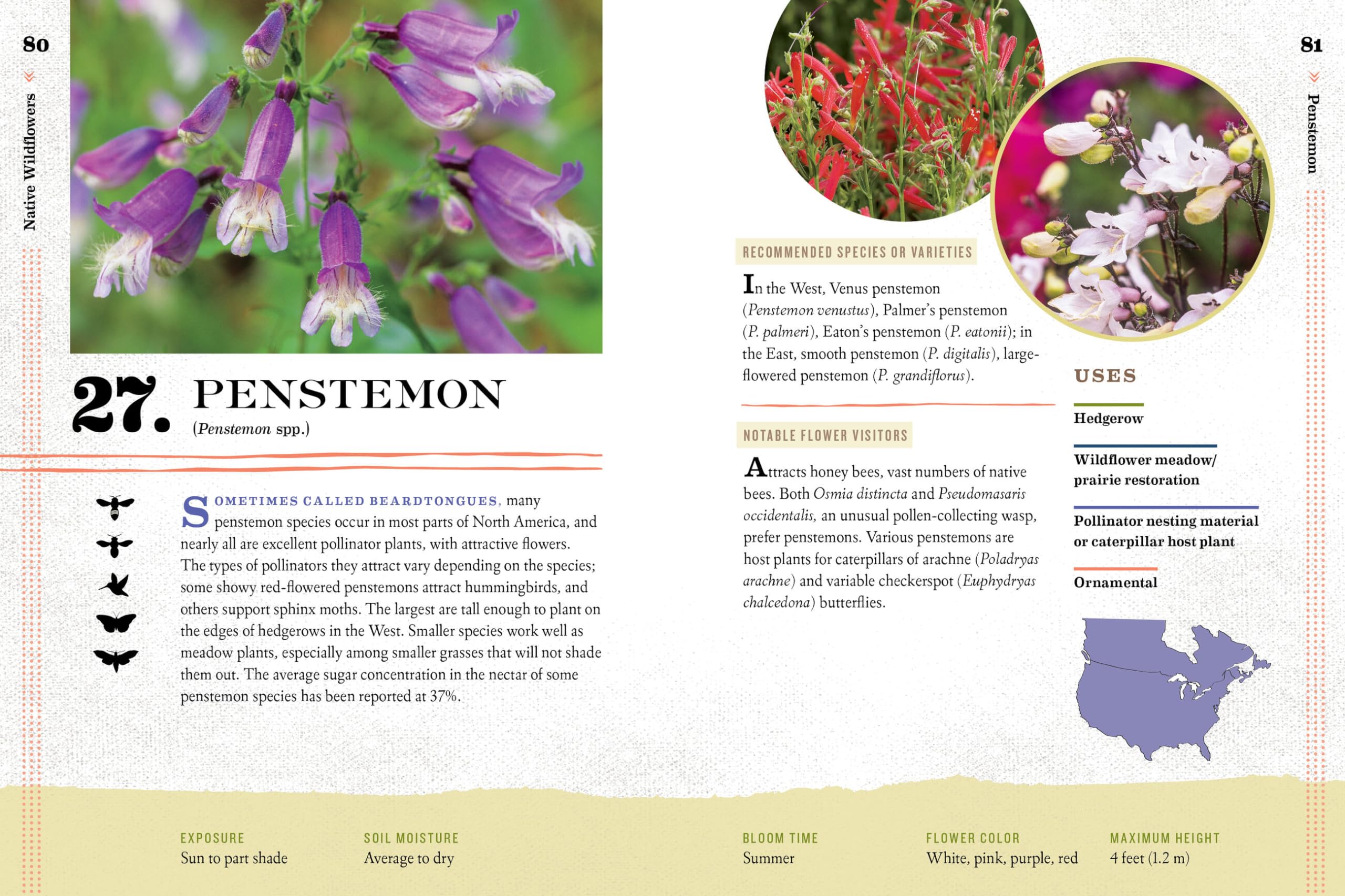 100 Plants to Feed the Bees: The Ultimate Guide to Creating a Pollinator-Friendly Garden for a Thriving Ecosystem | Perfect for Backyards, Urban Gardens & Sustainable Landscaping