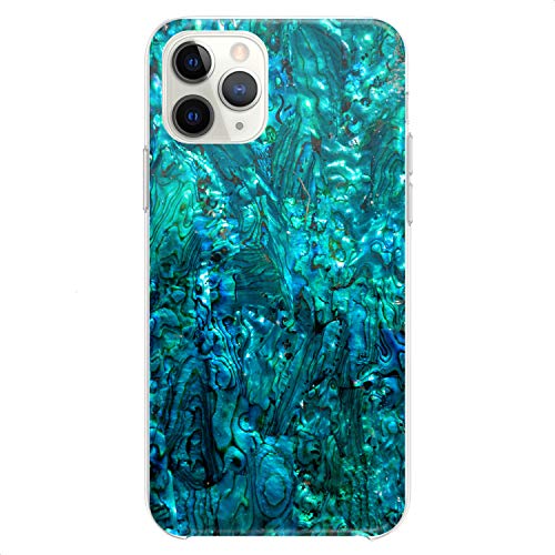 Abalone Shell