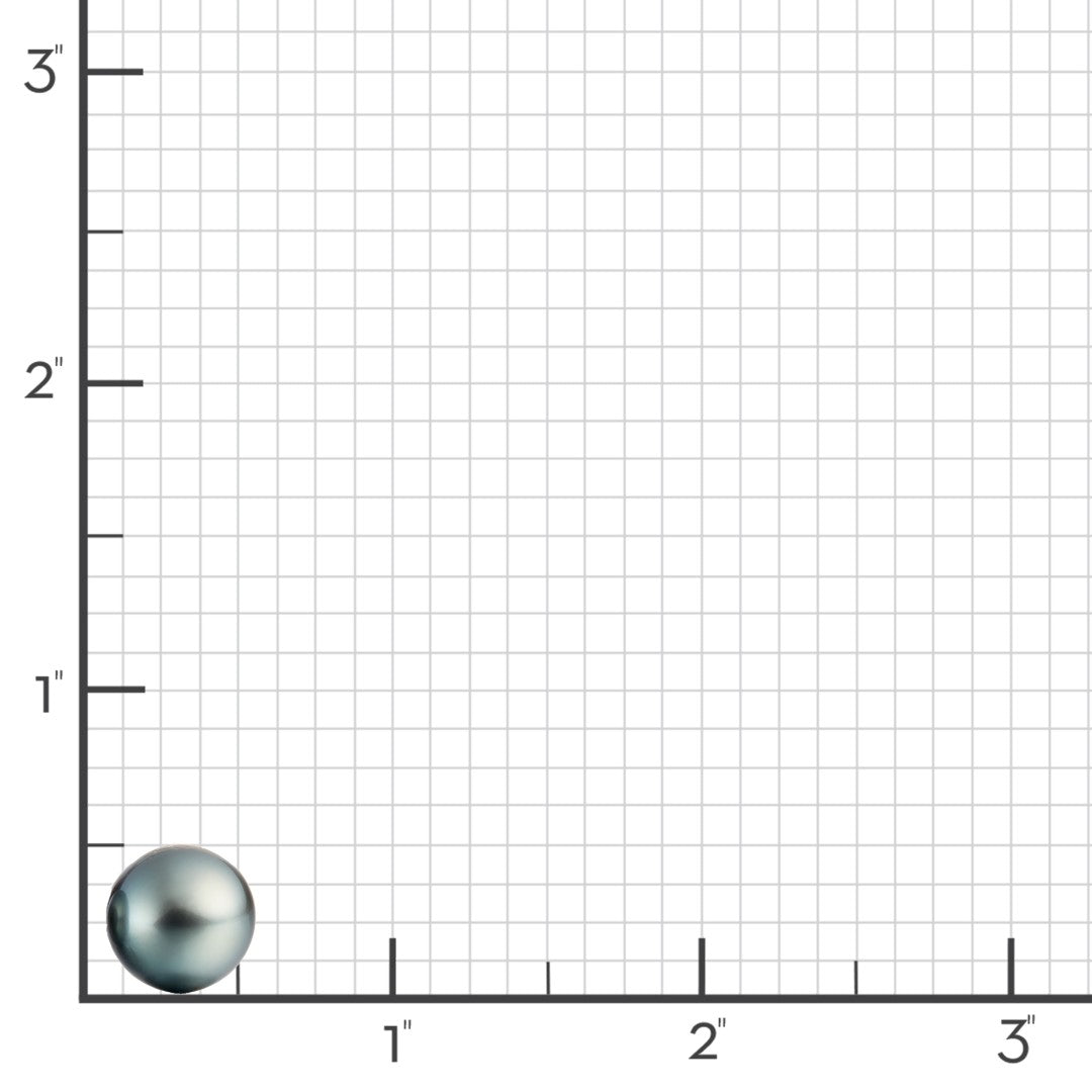 13mm Gray Tahitian Pearl Earrings for Women - Luxury Stud Earrings with 925 Sterling Silver - Perfect for Weddings, Parties & Special Occasions