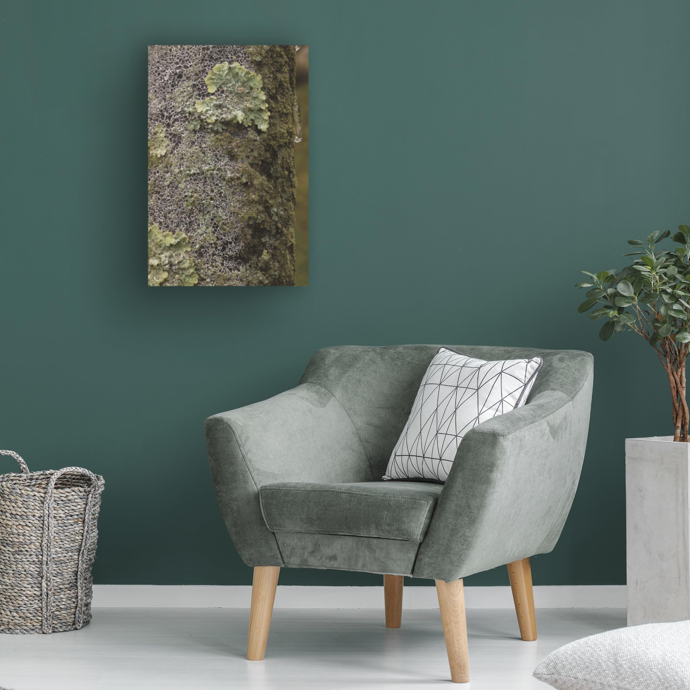 Kurt Shaffer 'Lichen In Ice' Photographic Canvas Art Print - Nature Photography Wall Decor for Living Room, Bedroom & Office