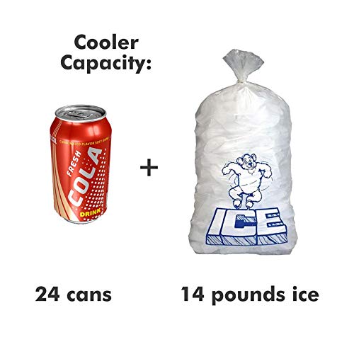 Premium AO Coolers Leopard Print Cooler - High-Density Insulation for 24 Cans - Made in USA - Perfect for Beach Parties, Camping & Outdoor Adventures