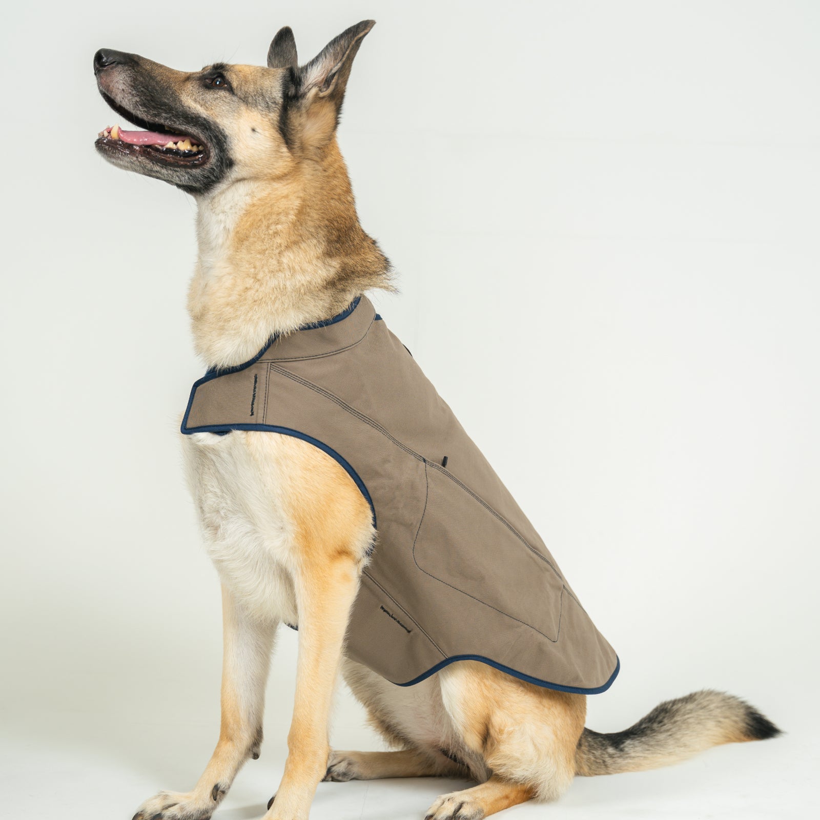 Original Dog Vest with Adjustable Straps - Comfortable & Durable Pet Harness for Small, Medium & Large Dogs - Perfect for Walking, Hiking & Outdoor Adventures
