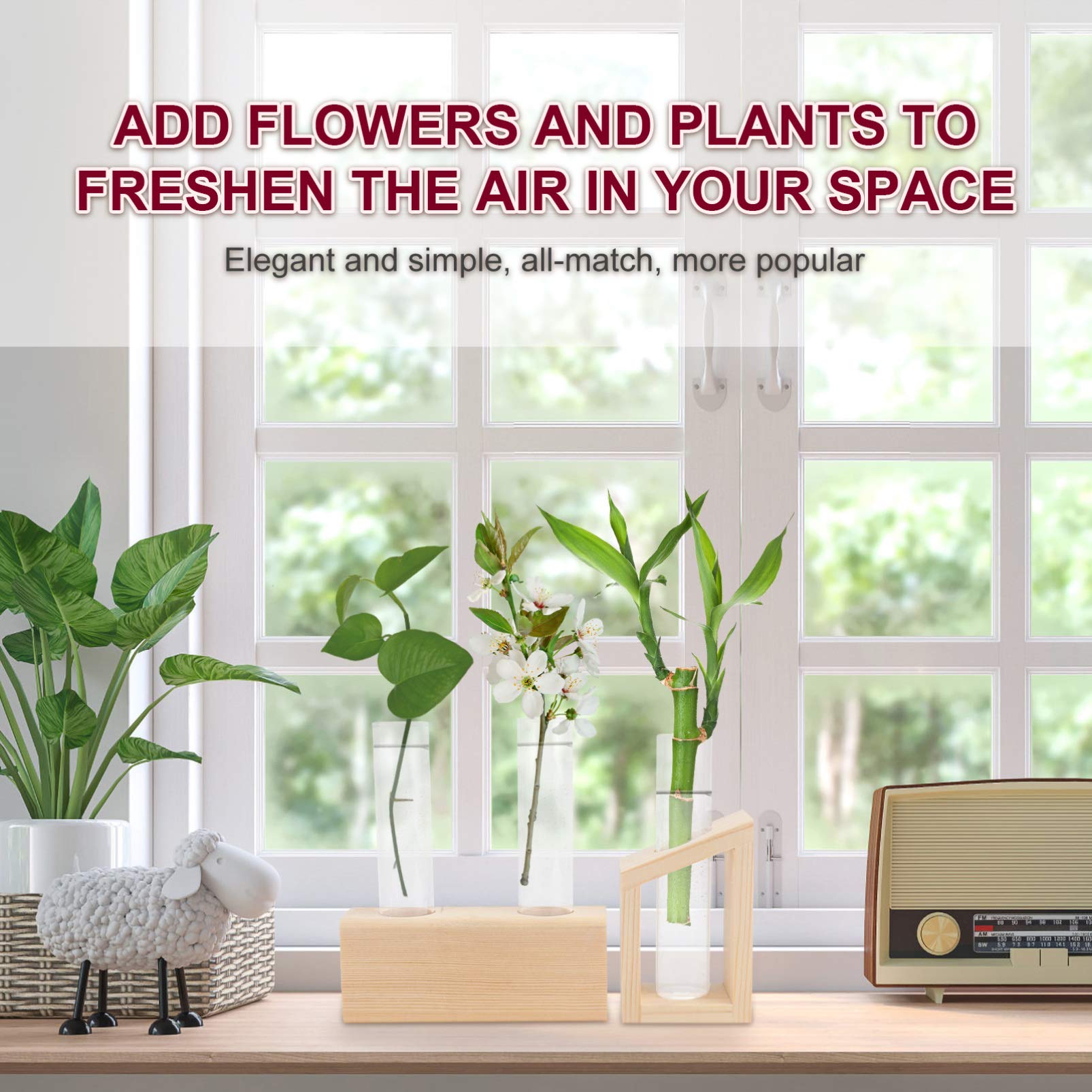 2pcs Glass Test Tube Vase Set - Cabilock Hydroponic Planter for Flowers, Herbs & Succulents | Desktop Water Container with Wood Stand for Home, Office Decor & Plant Propagation