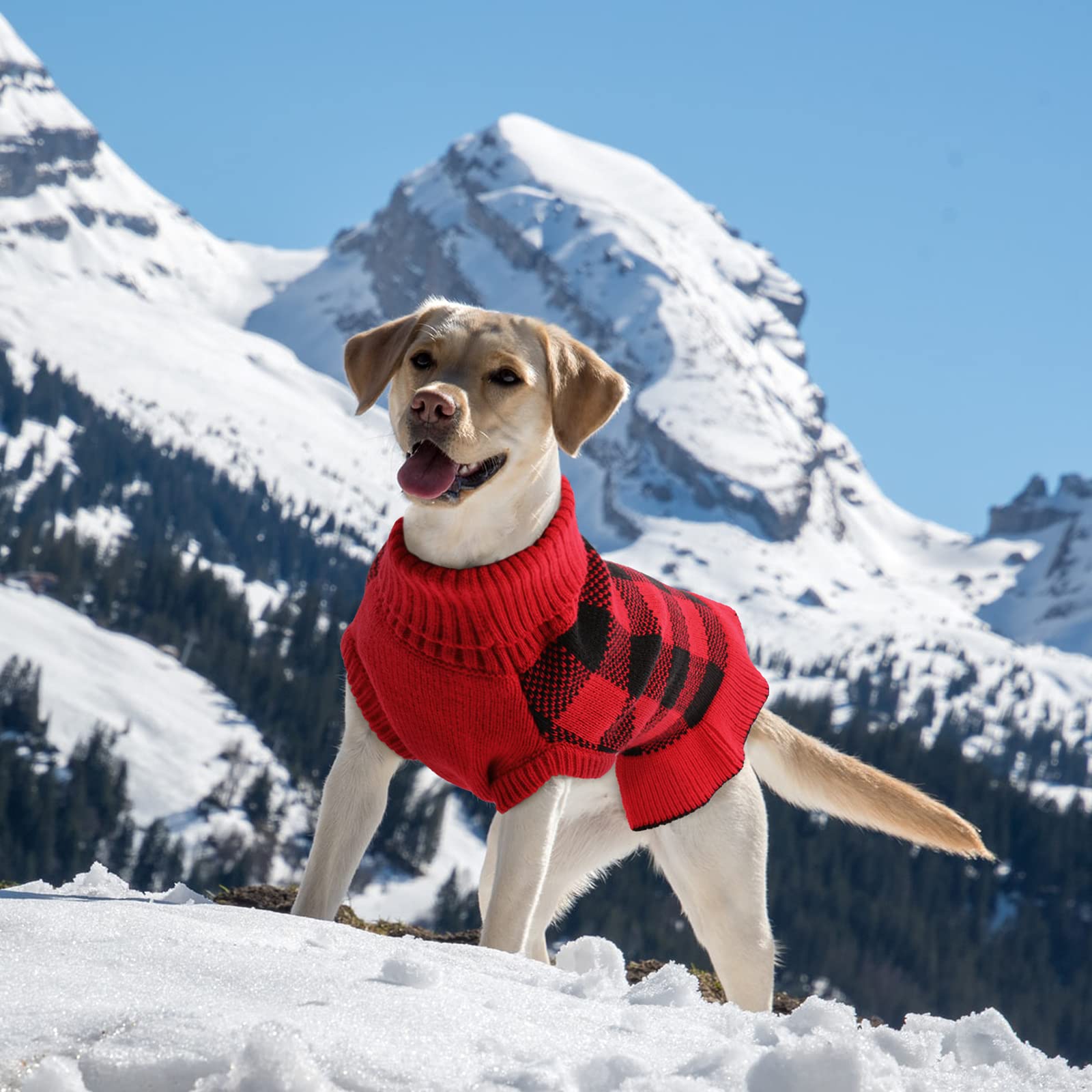 QBLEEV Warm Winter Dog Sweater for Medium Dogs - Soft Turtleneck Pullover with Leash Hole | Christmas Puppy Sweater Dress for Fall & Winter | Cozy Pet Clothes for Small to XL Dogs (Girls & Boys) | Perfect for Holiday Photos, Outdoor Walks & Indoor Comfort