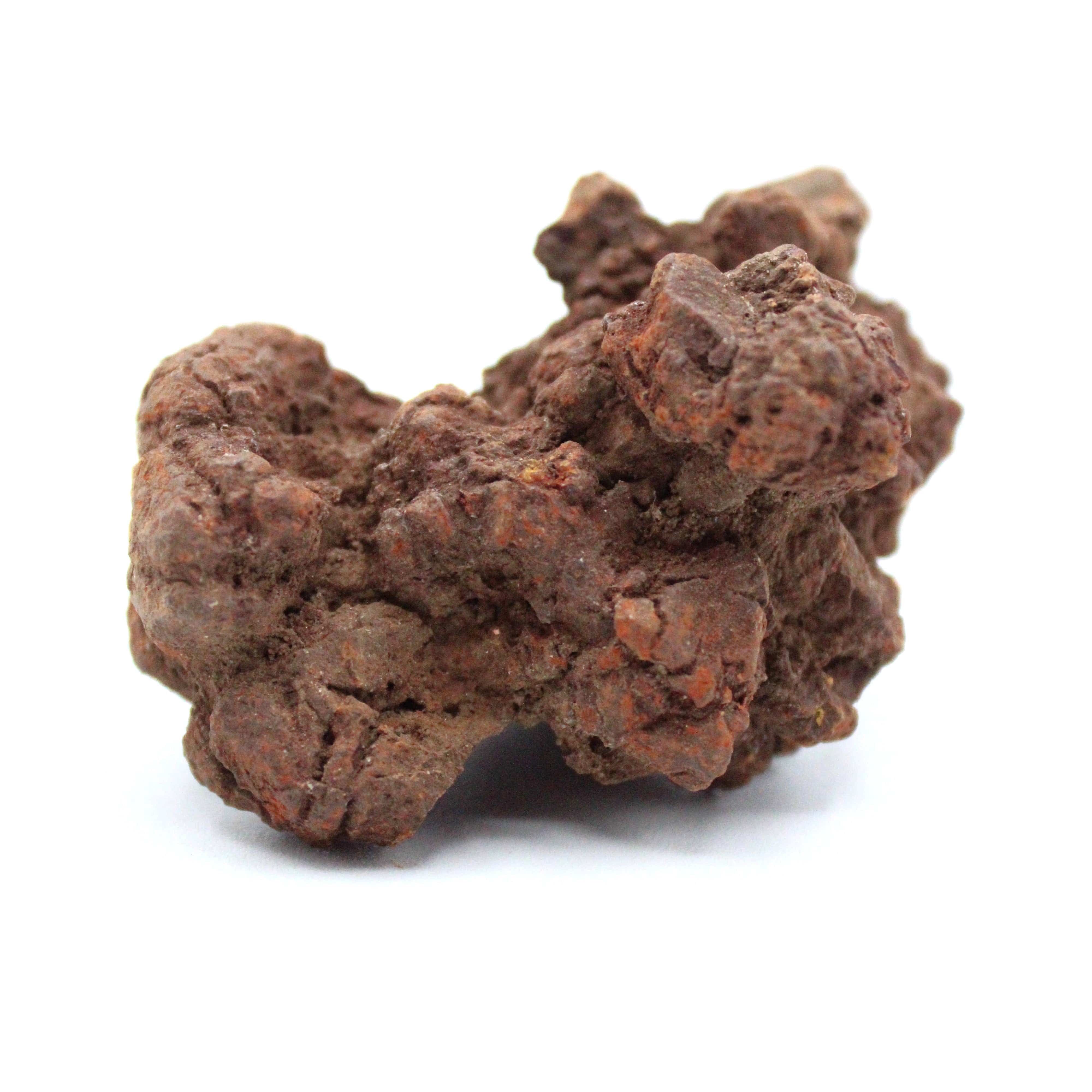 Authentic Coprolite Fossil Specimen - Dinosaur Poop Fossil for Collectors, Education & Home Decor | Perfect for Science Enthusiasts & Unique Gift Ideas