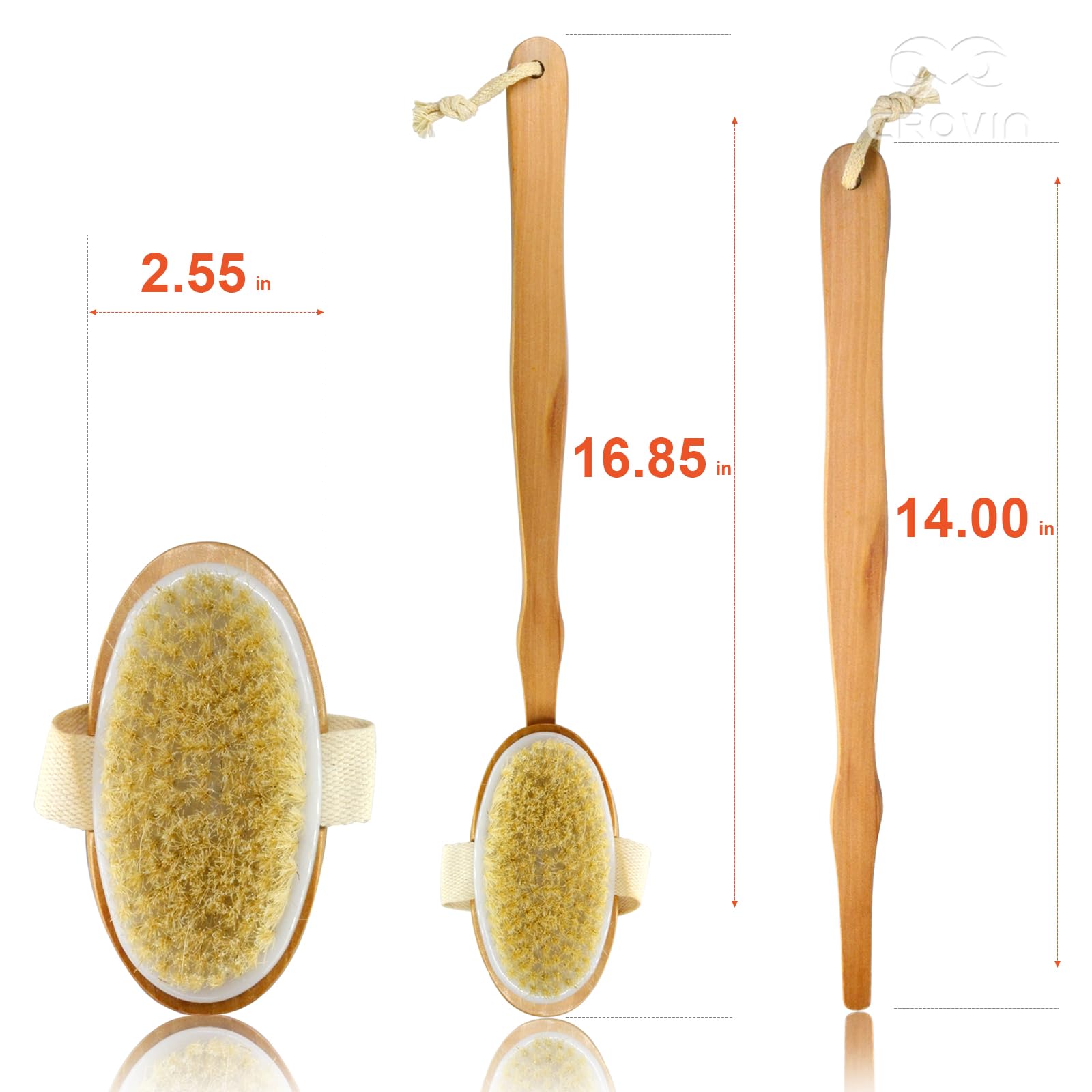 Natural Boar Bristle Dry Body Brush for Exfoliation & Cellulite - Spa Quality Bath Brush Set with Loofah, Face Brush & Pumice Stone - Perfect for Dry Brushing, Shower Exfoliation & Self-Care Routine (5-Piece Set)