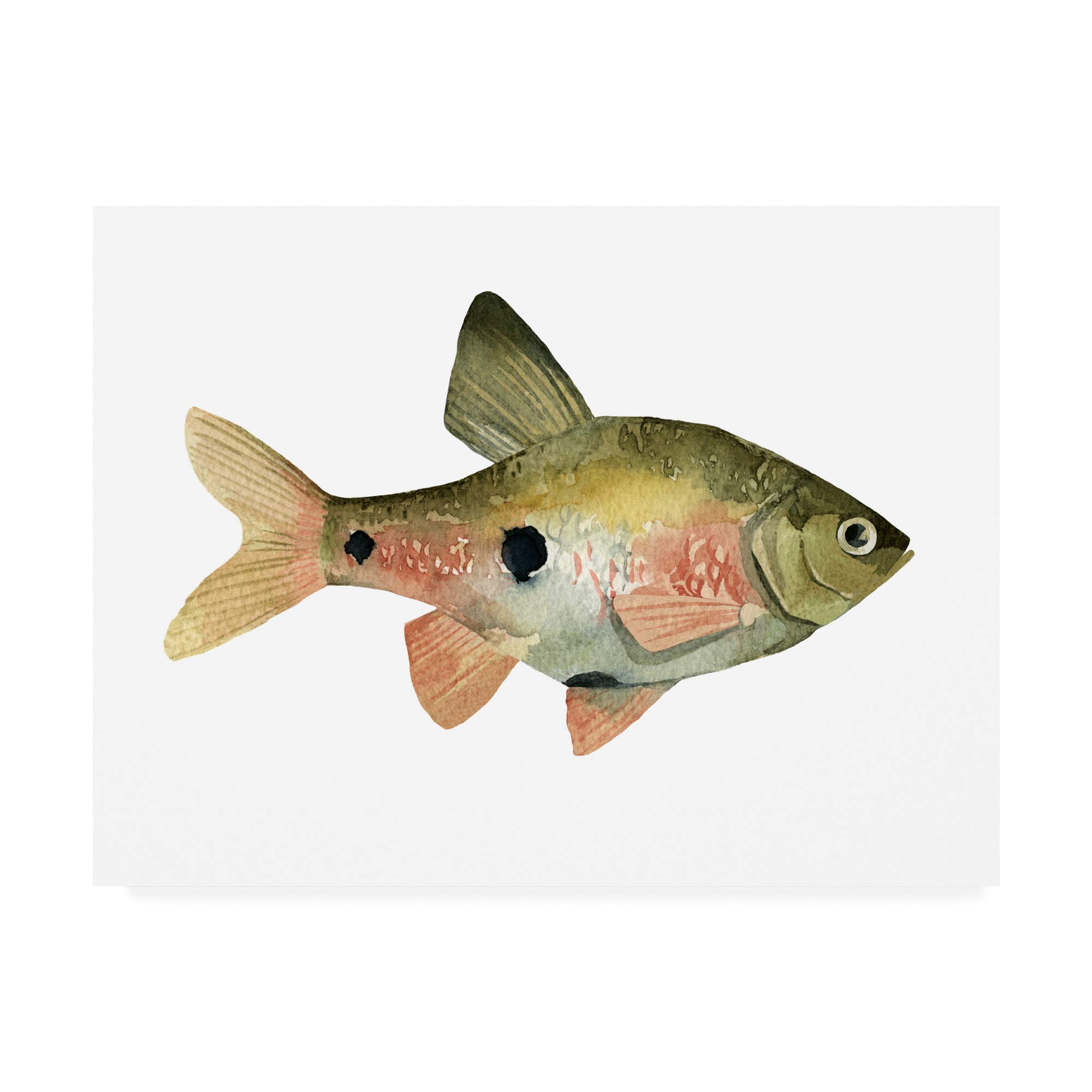 Emma Scarvey Rainbow Fish III Fine Art Print - 14x19 Inch Canvas Wall Decor for Living Room, Bedroom & Office